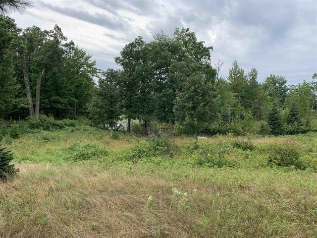 Lot 14 Wood Duck Trail Property Photo 1
