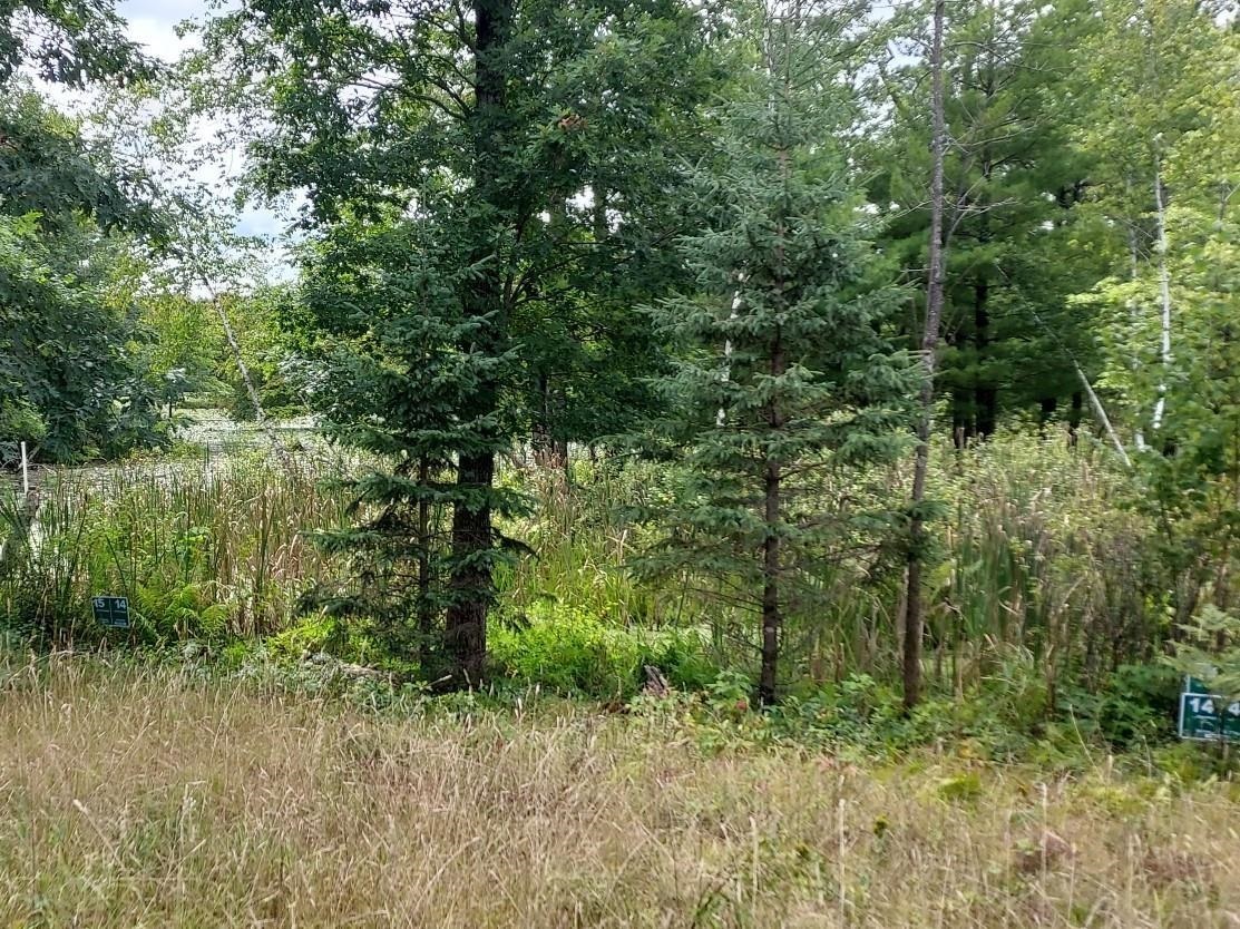 Lot 14 Wood Duck Trail Property Photo 2