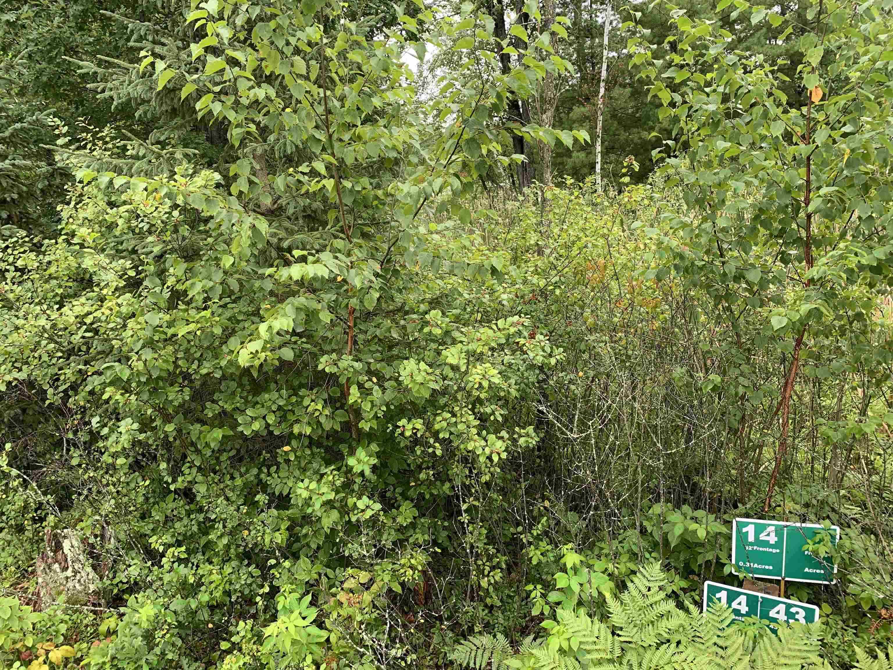 Lot 14 Wood Duck Trail Property Photo 4
