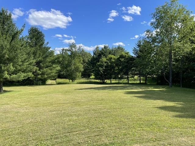 10717 Cary Rock Drive Property Photo 4