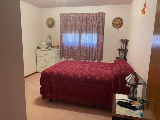 10717 Cary Rock Drive Property Photo 15