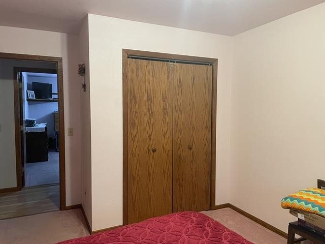 10717 Cary Rock Drive Property Photo 16