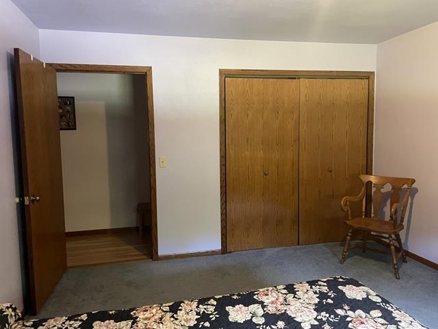10717 Cary Rock Drive Property Photo 20