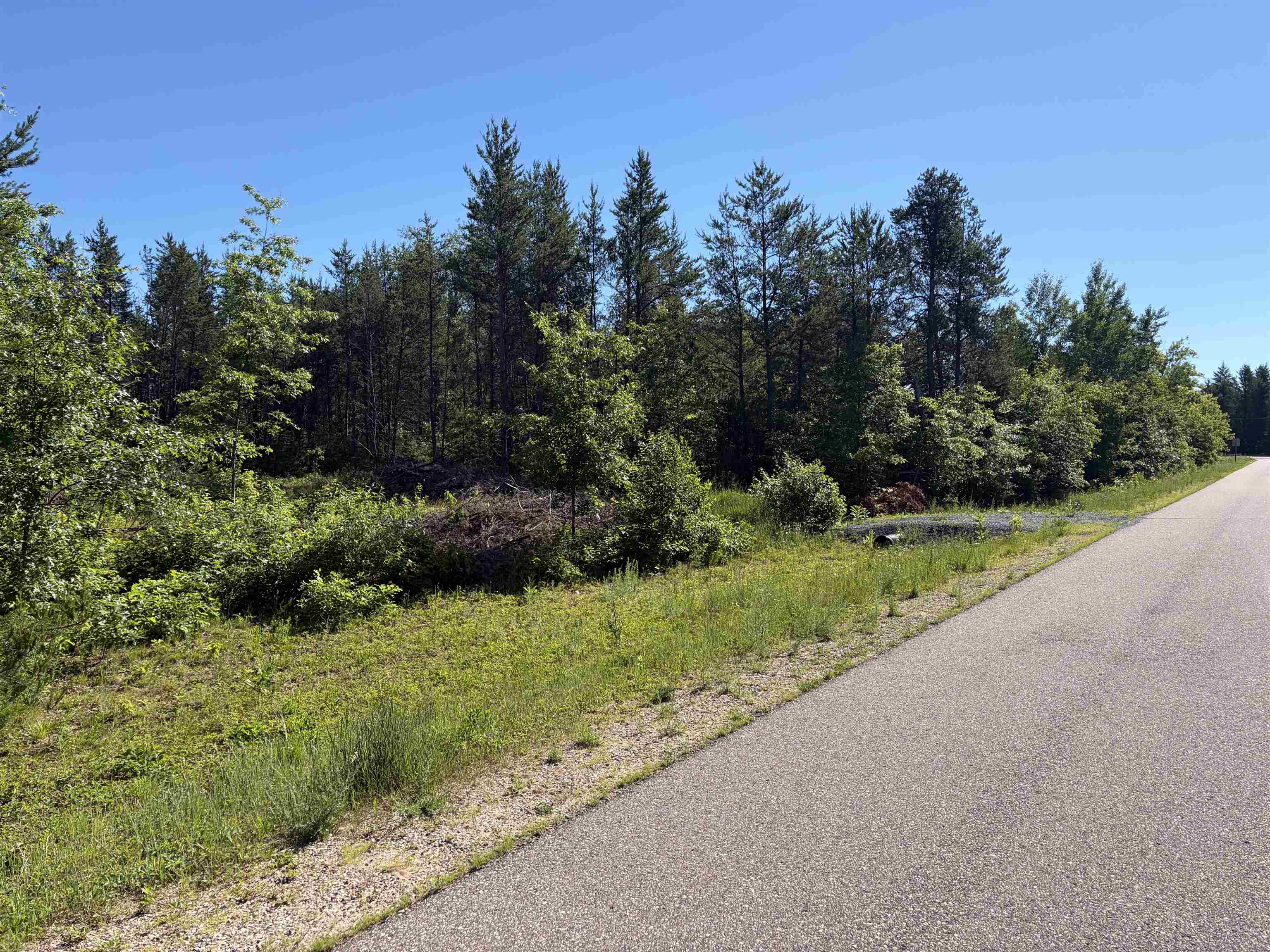 Lot 33 Red Tail Hawk Drive Property Photo 2