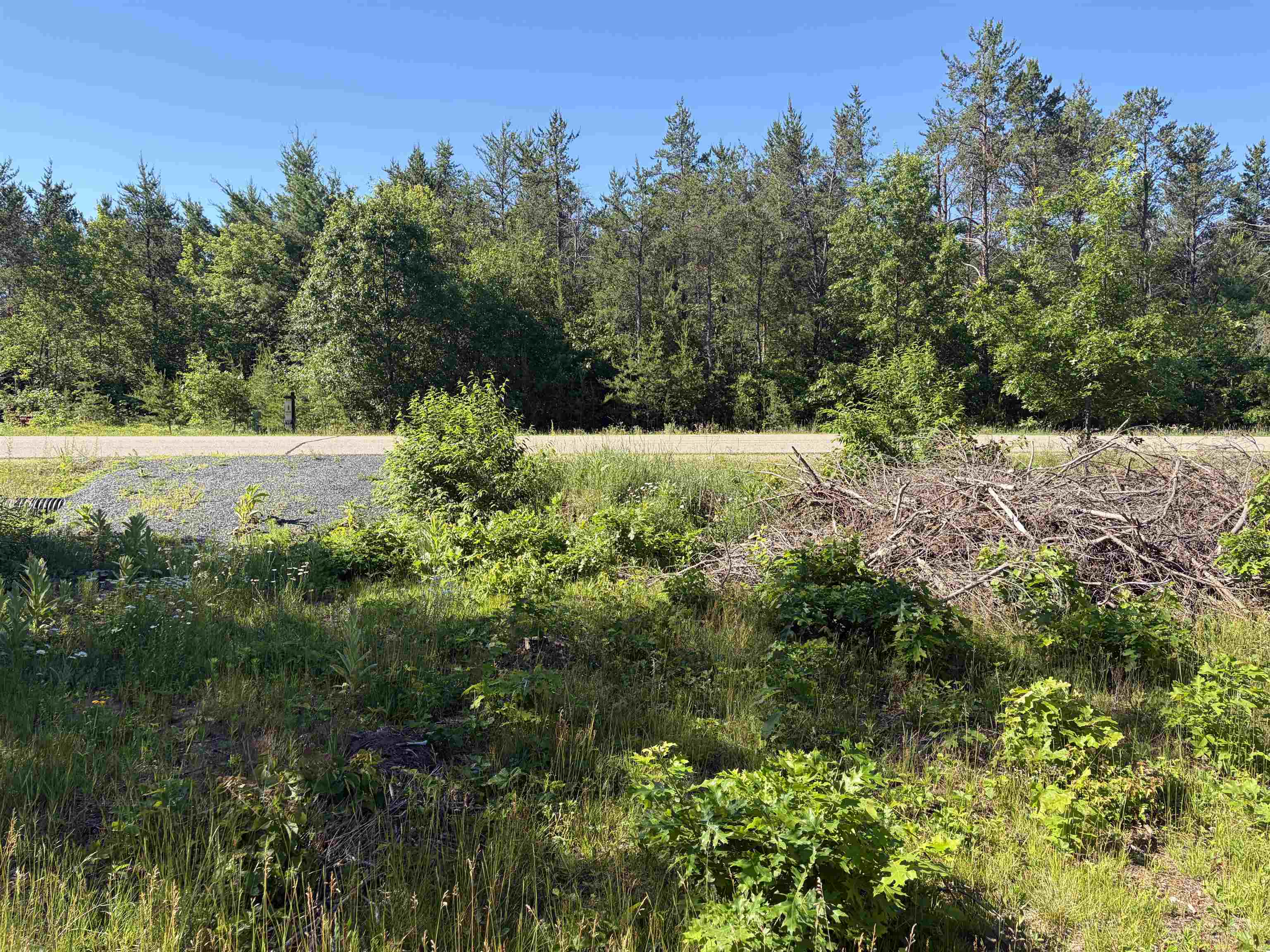 Lot 33 Red Tail Hawk Drive Property Photo 4