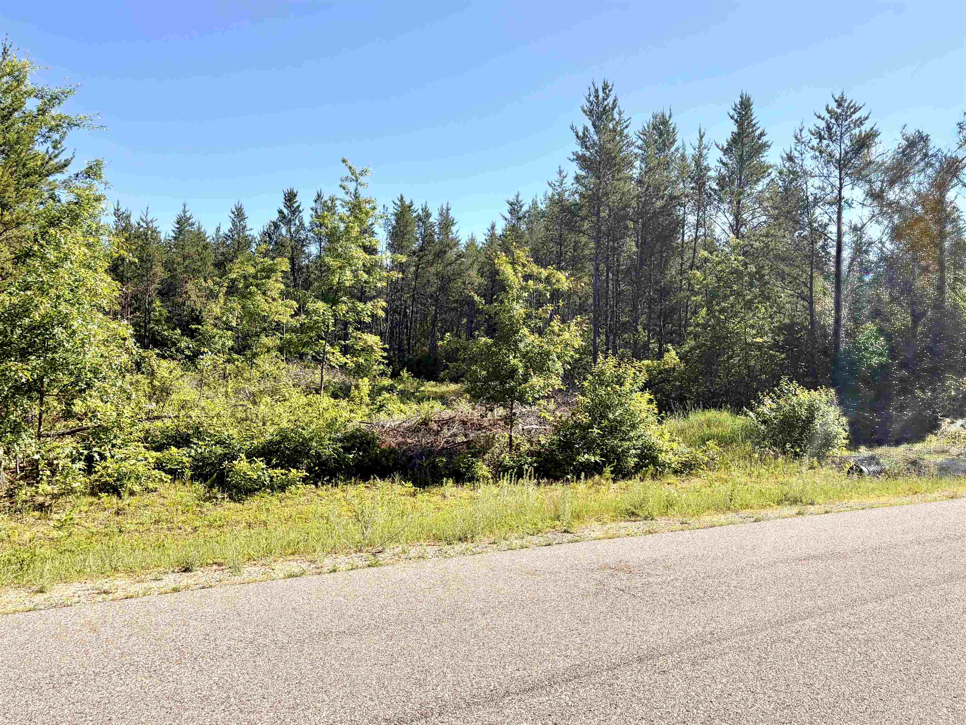 Lot 33 Red Tail Hawk Drive Property Photo 5