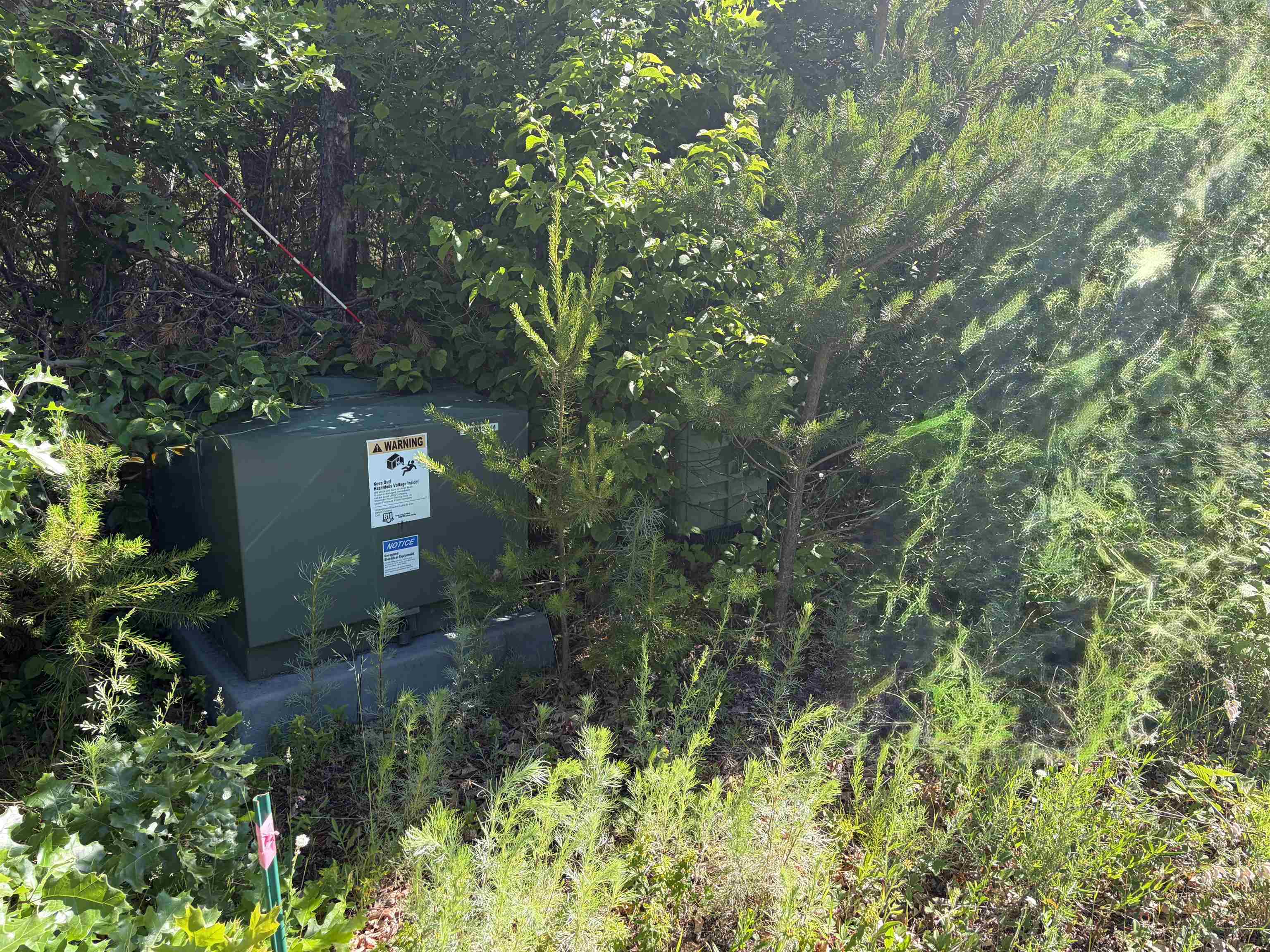 Lot 33 Red Tail Hawk Drive Property Photo 6