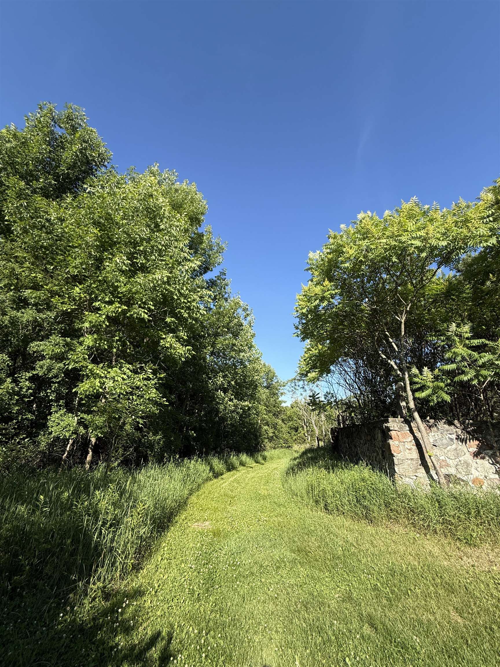 N6559 River Road Property Photo 10