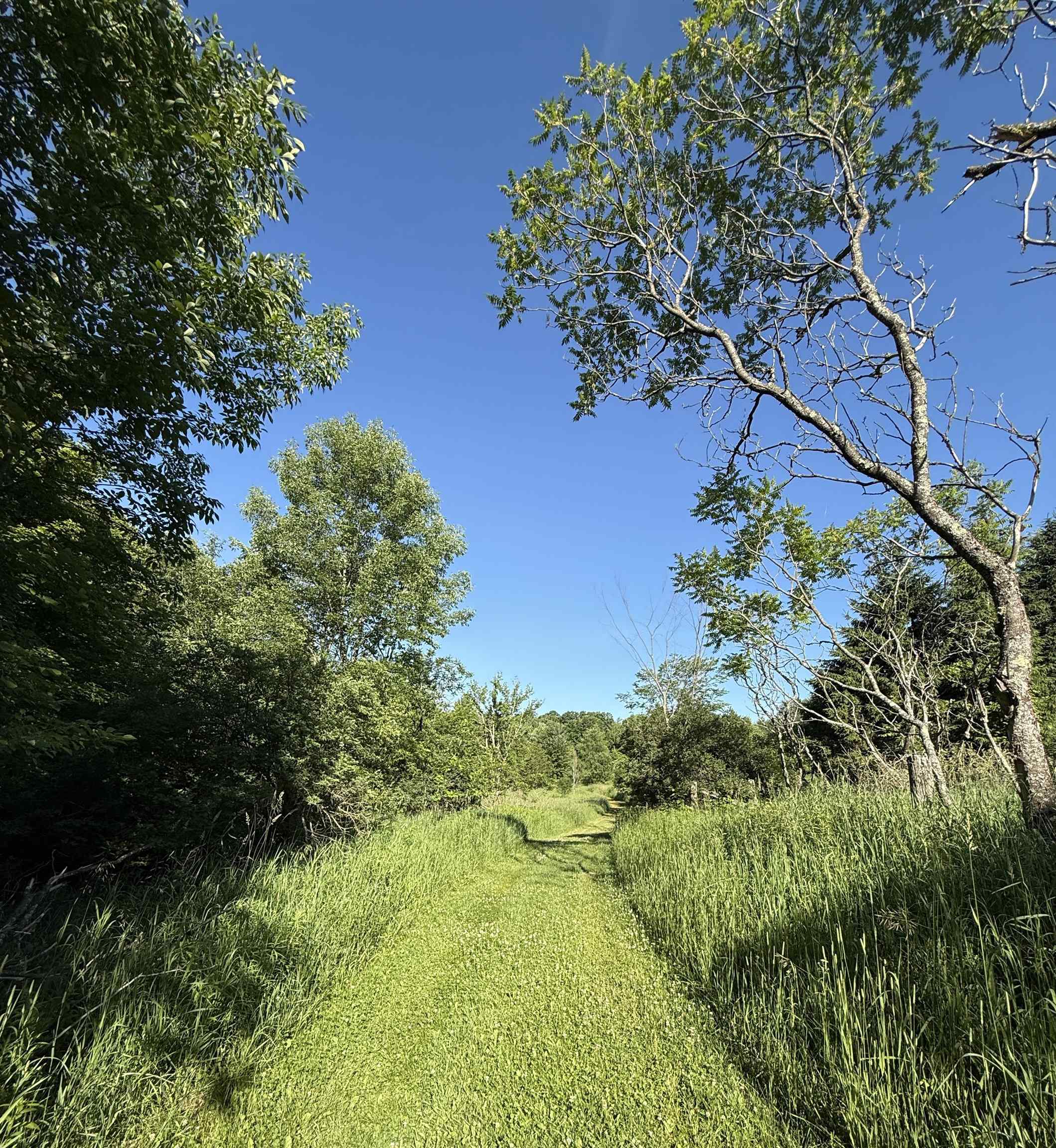 N6559 River Road Property Photo 11