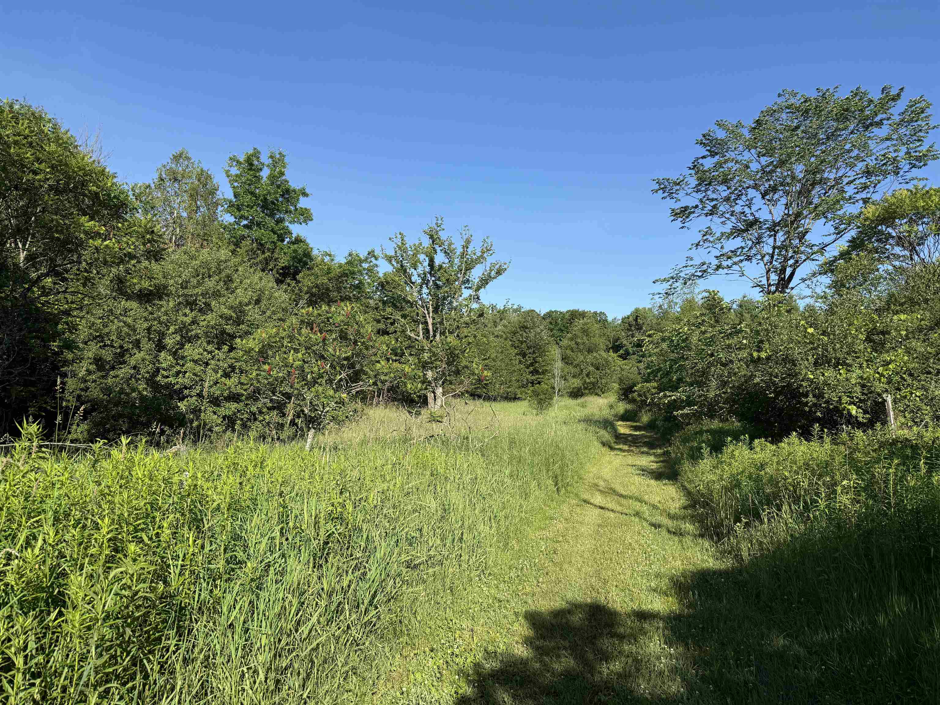 N6559 River Road Property Photo 13