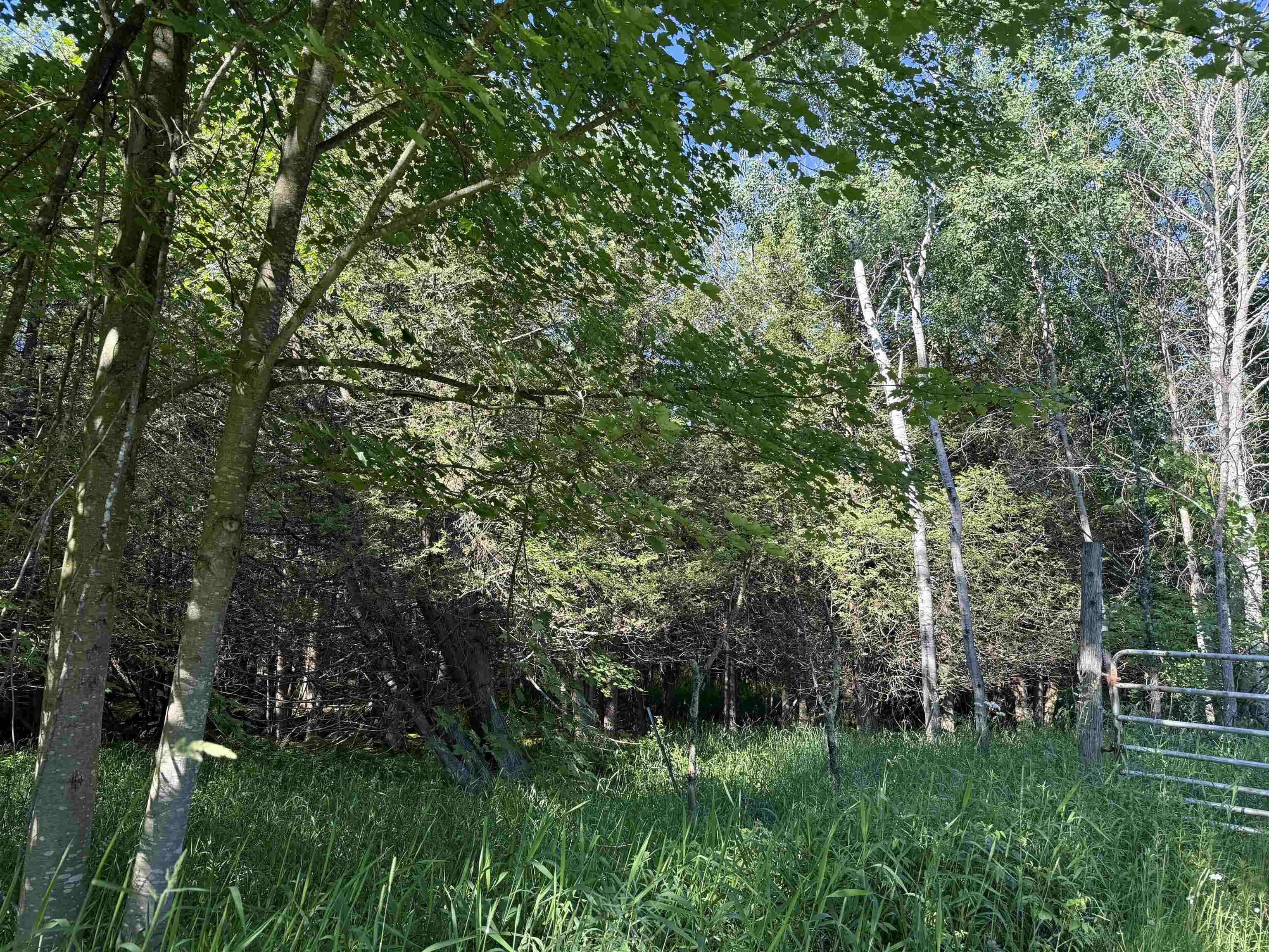 N6559 River Road Property Photo 14
