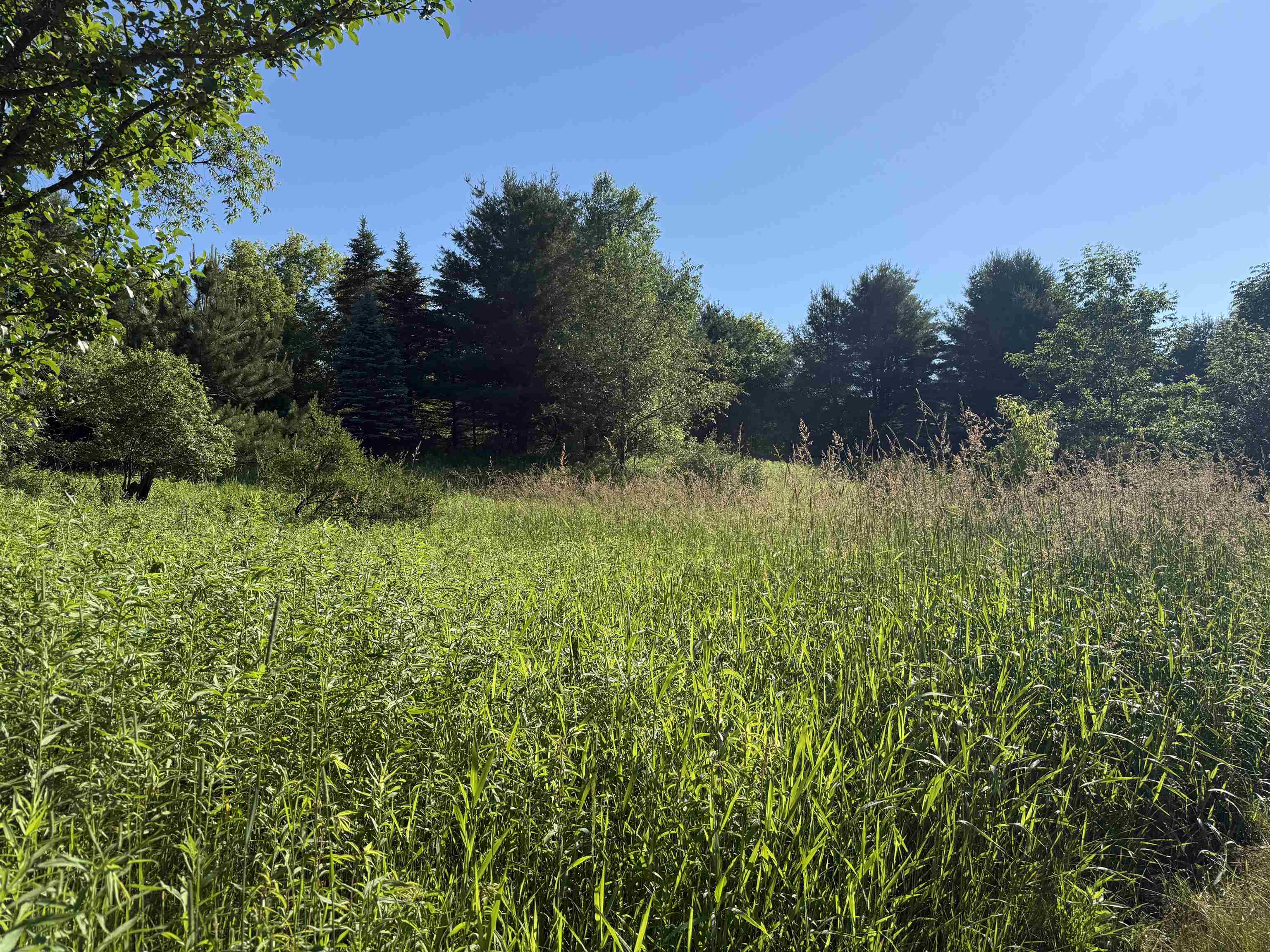 N6559 River Road Property Photo 16