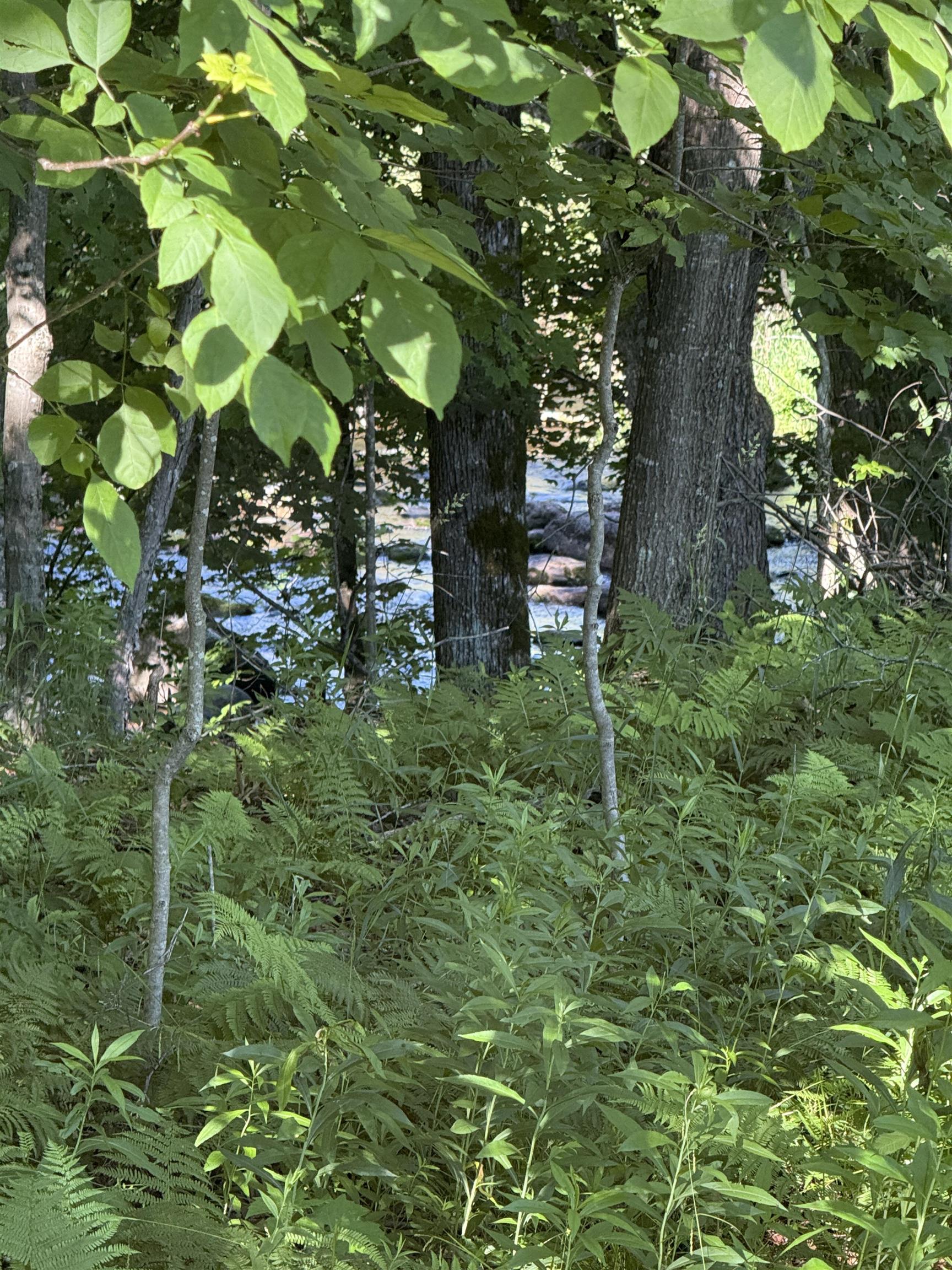 N6559 River Road Property Photo 18