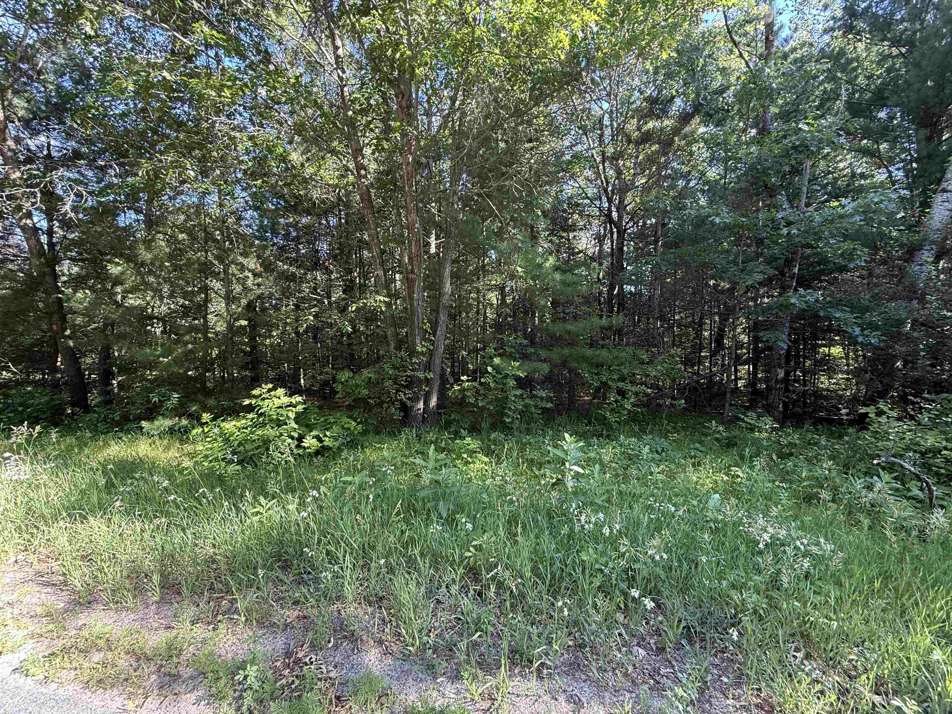 Lot 1 Jordan Road Property Photo 2