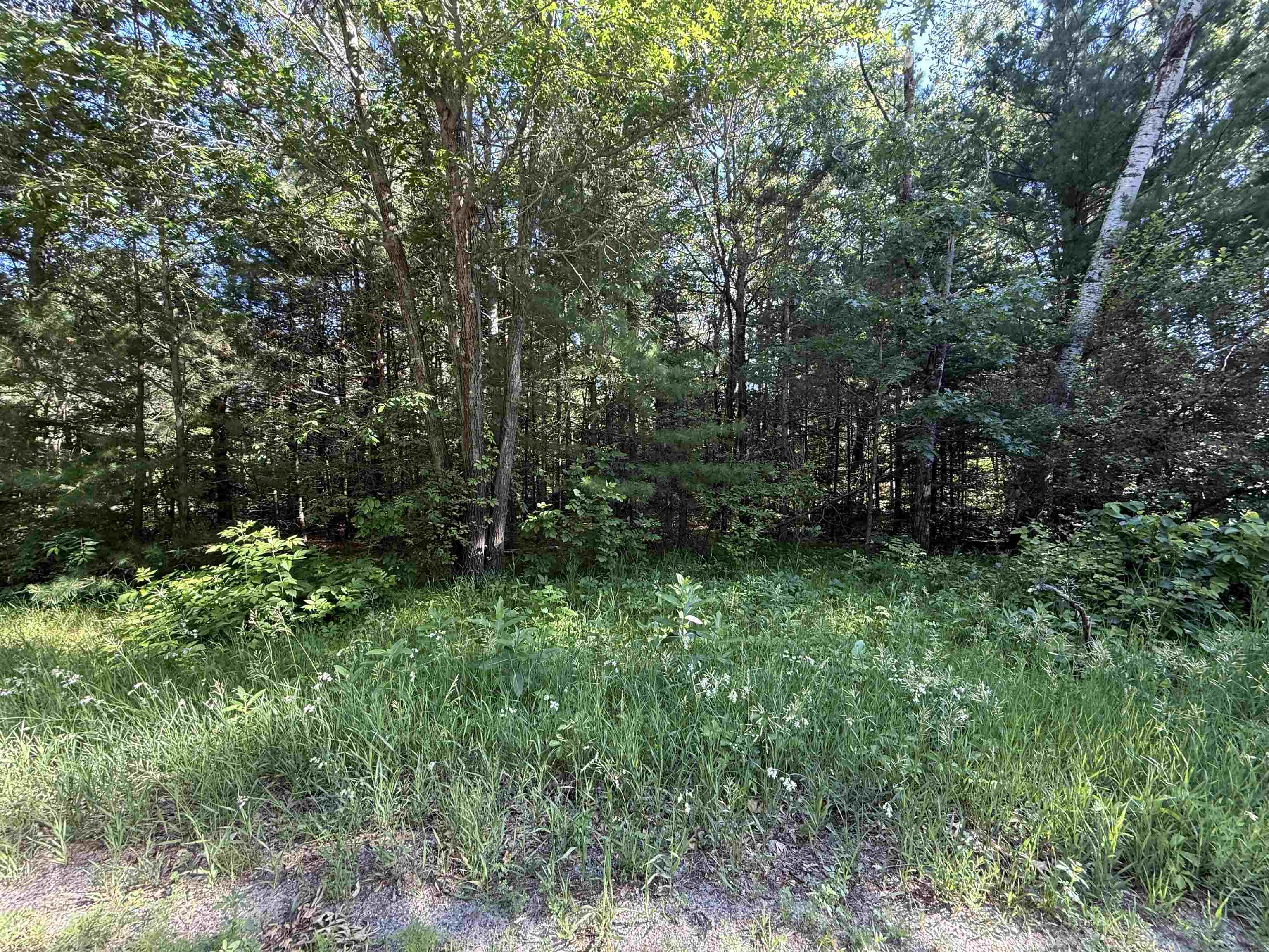 Lot 1 Jordan Road Property Photo 3