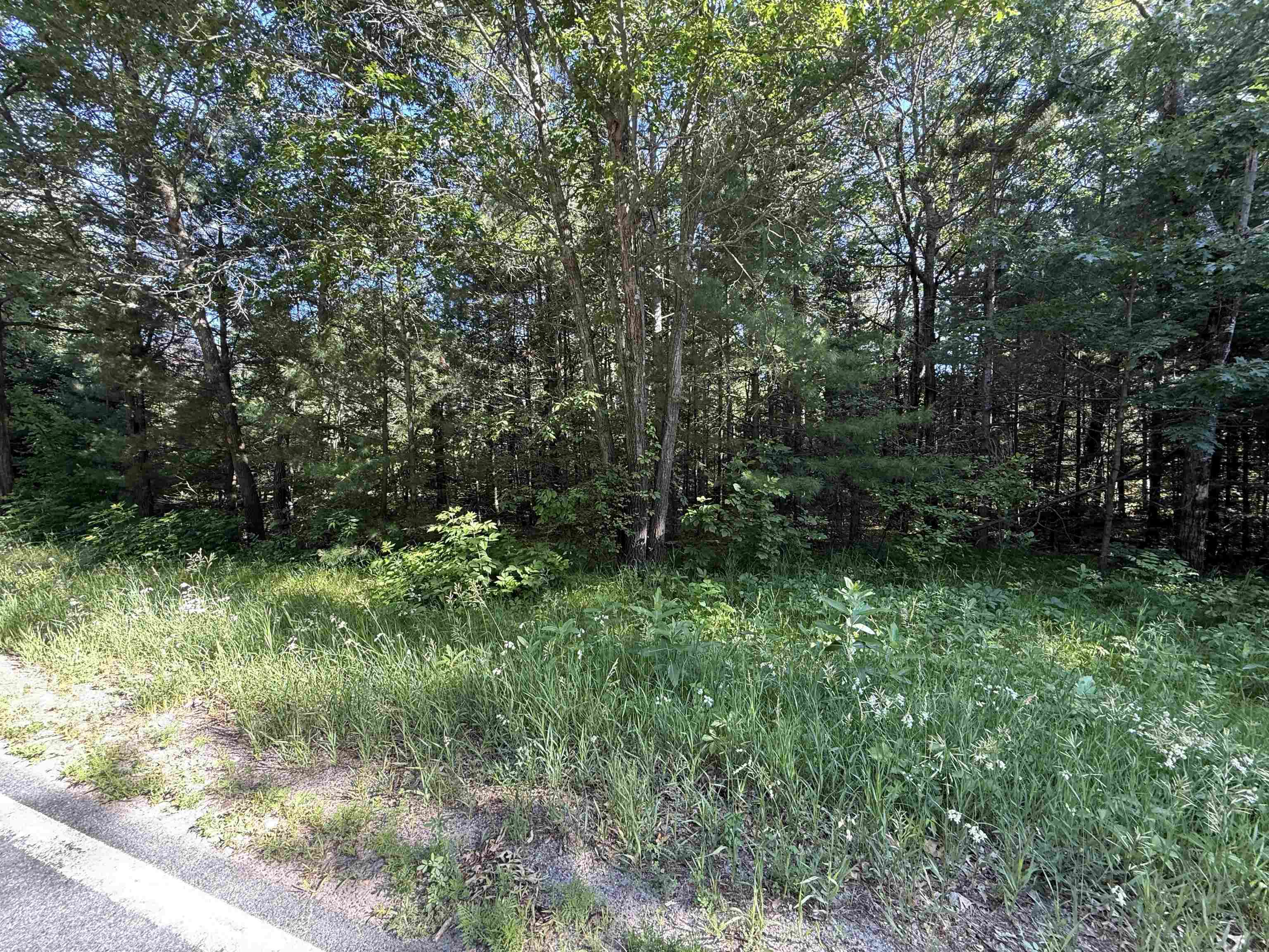 Lot 1 Jordan Road Property Photo 4