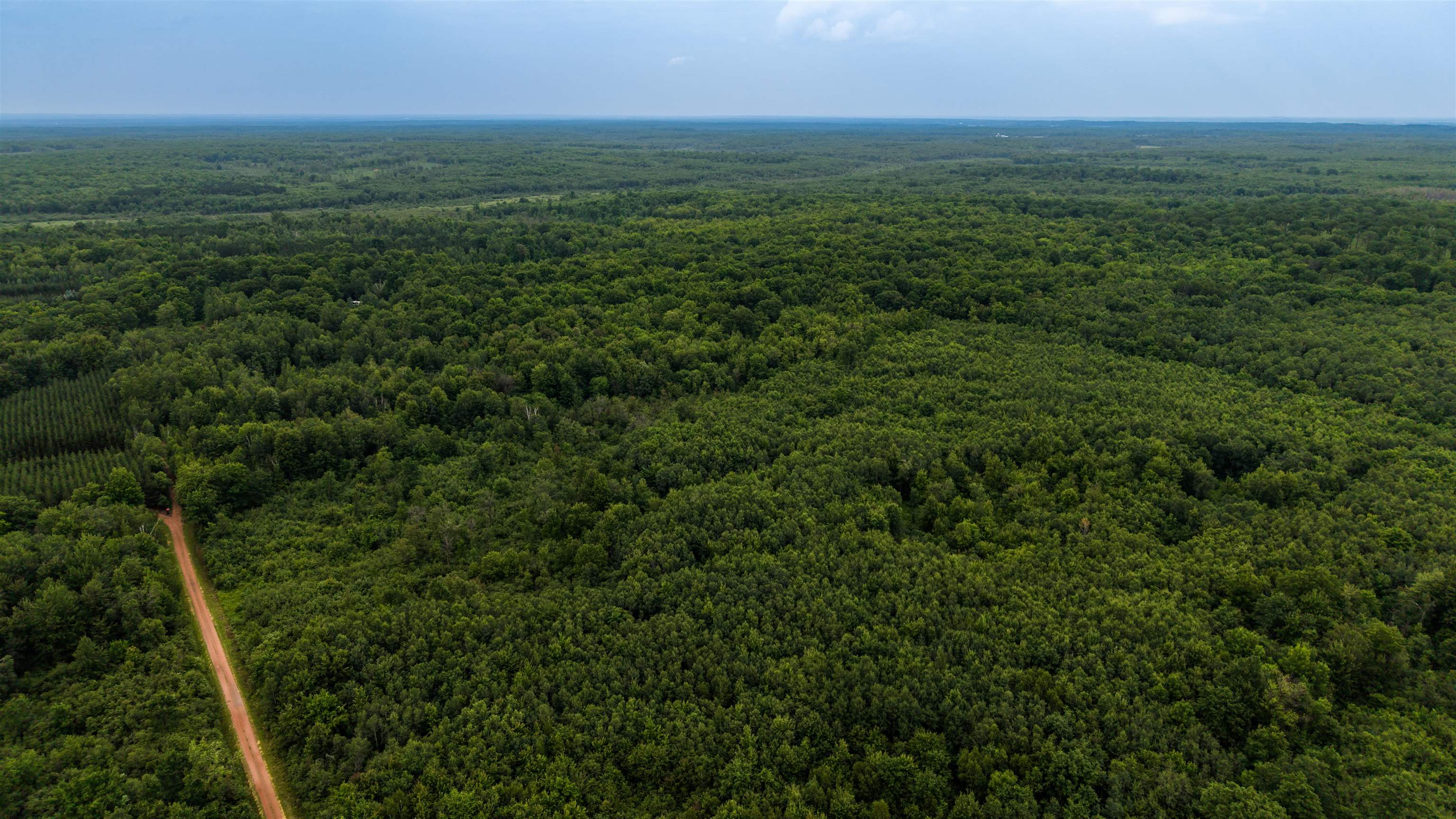 40 Acres Zogata Road Property Photo 5