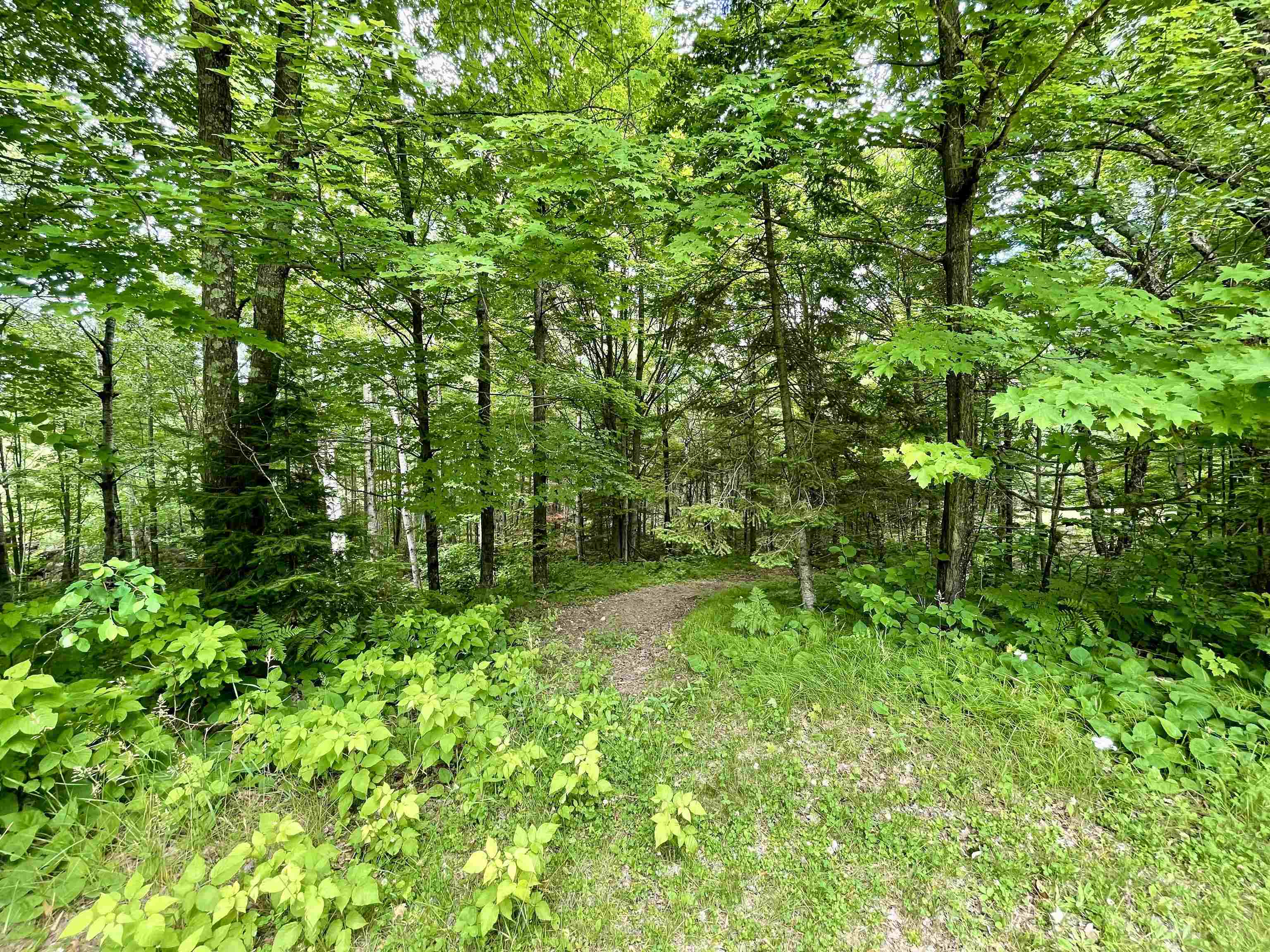 N8054 Ridge Road Property Photo 51