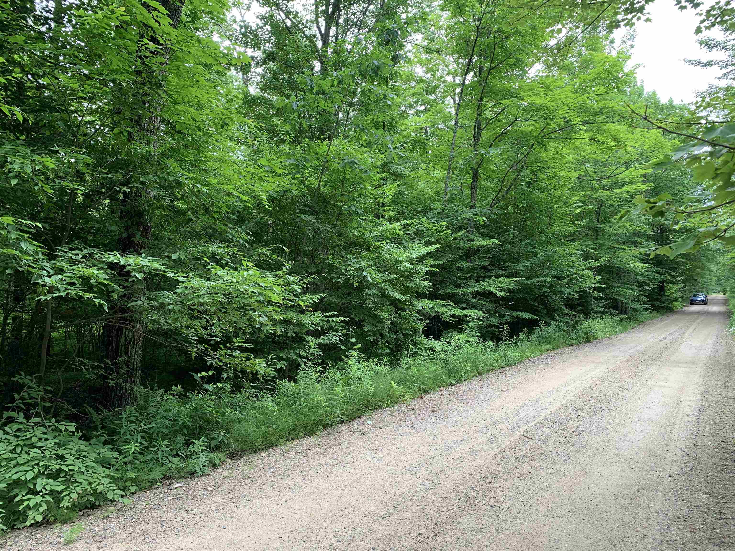 000 Summit Woods Lane Property Photo 1