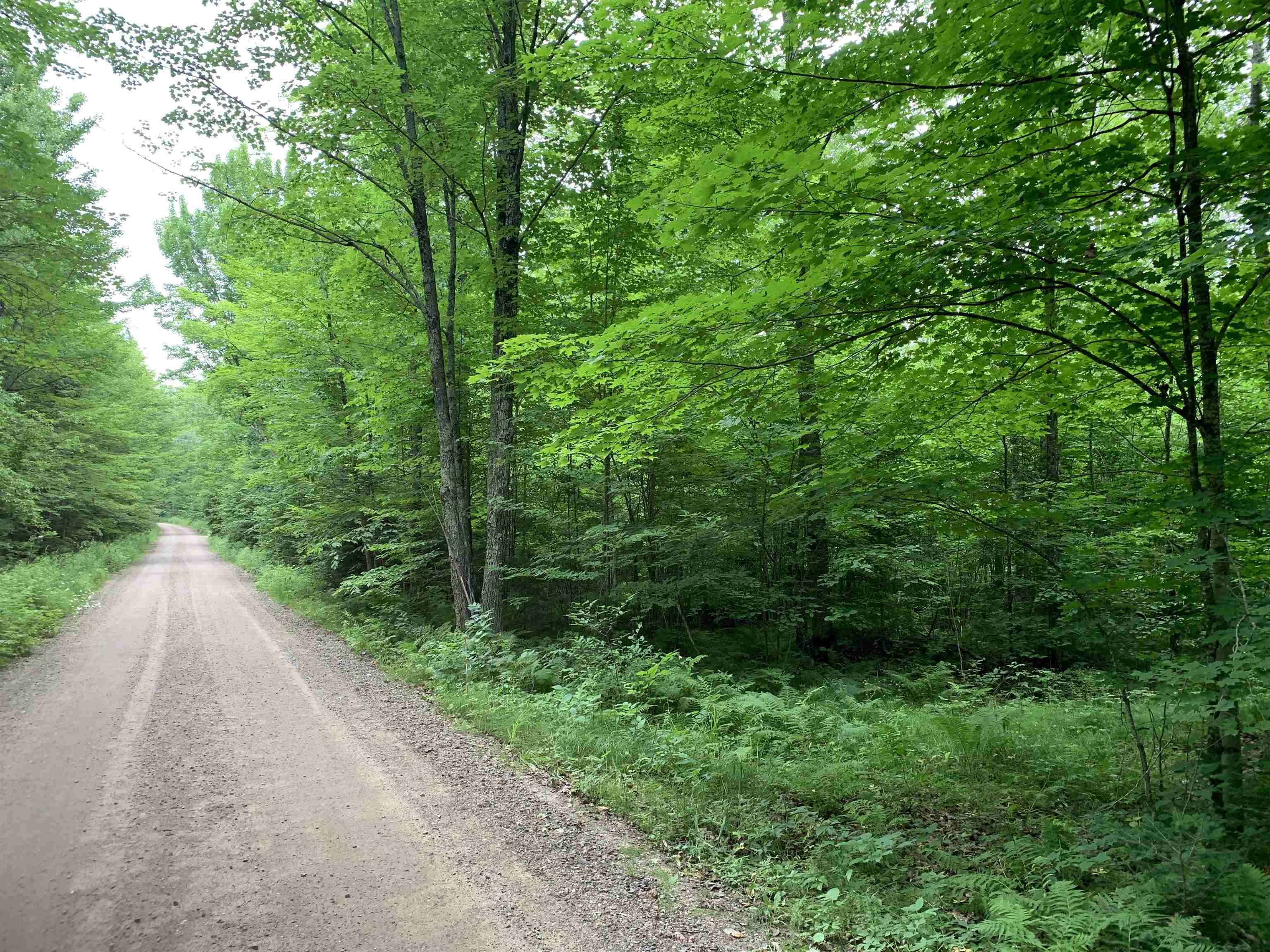 000 Summit Woods Lane Property Photo 2