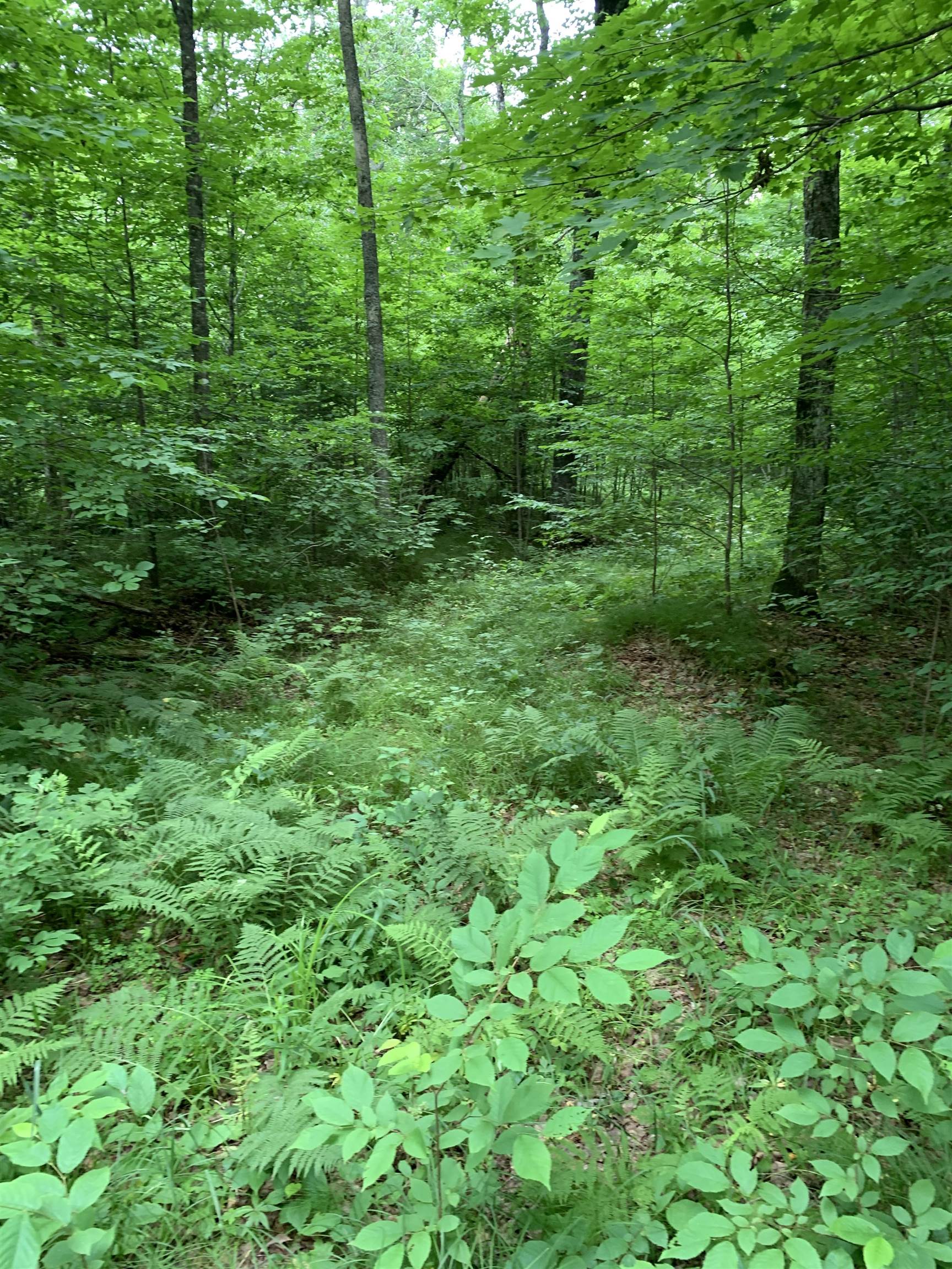 000 Summit Woods Lane Property Photo 7