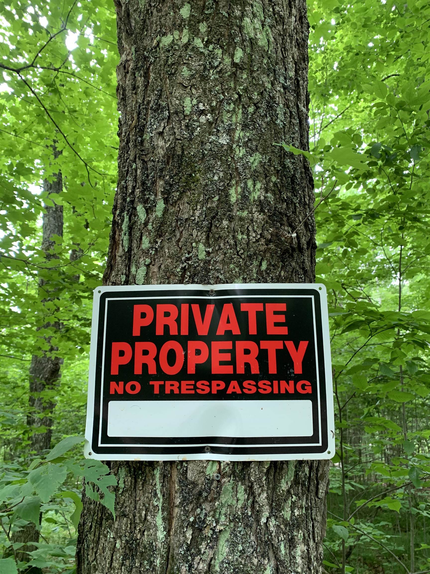 000 Summit Woods Lane Property Photo 8