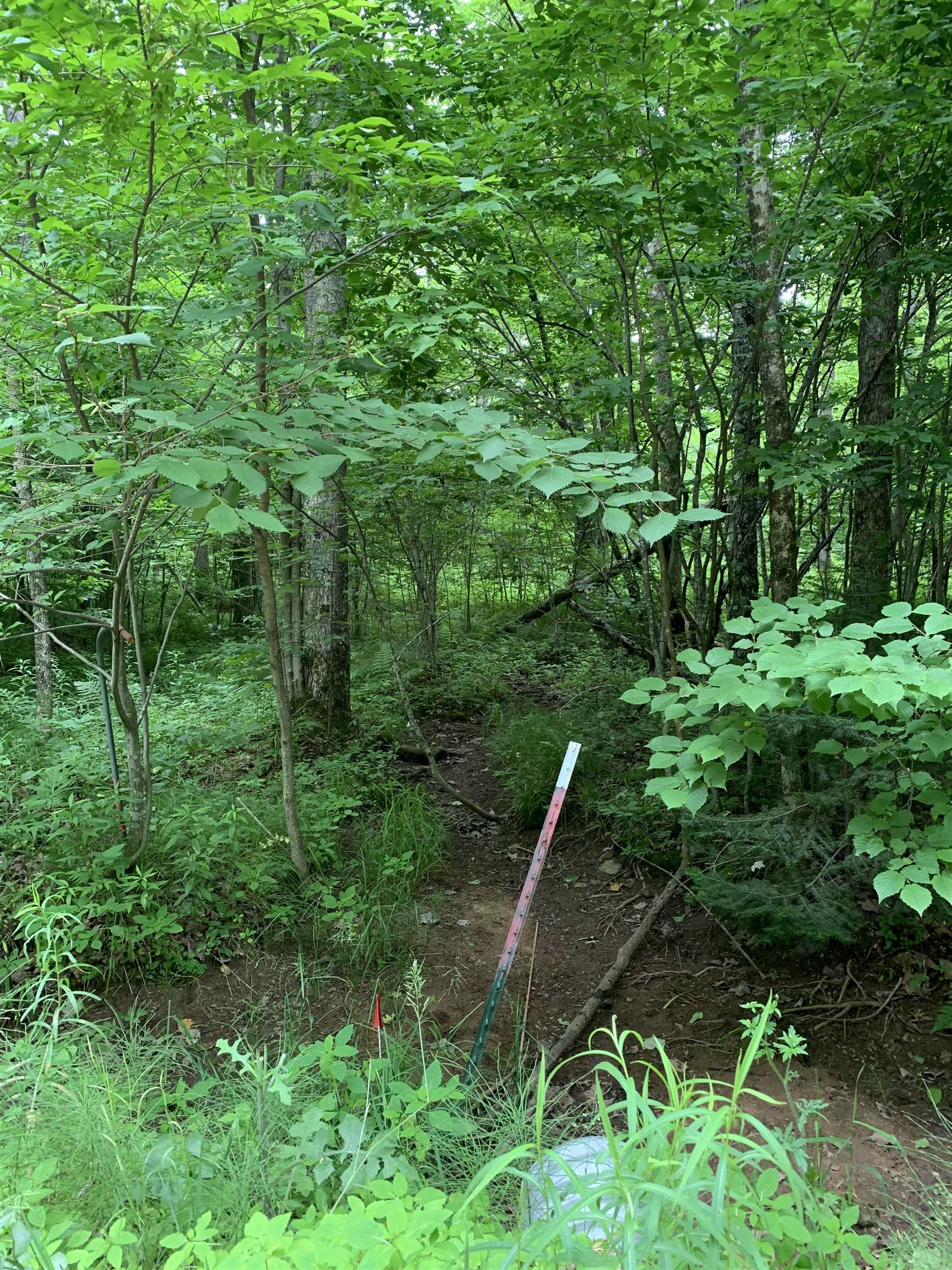 000 Summit Woods Lane Property Photo 11