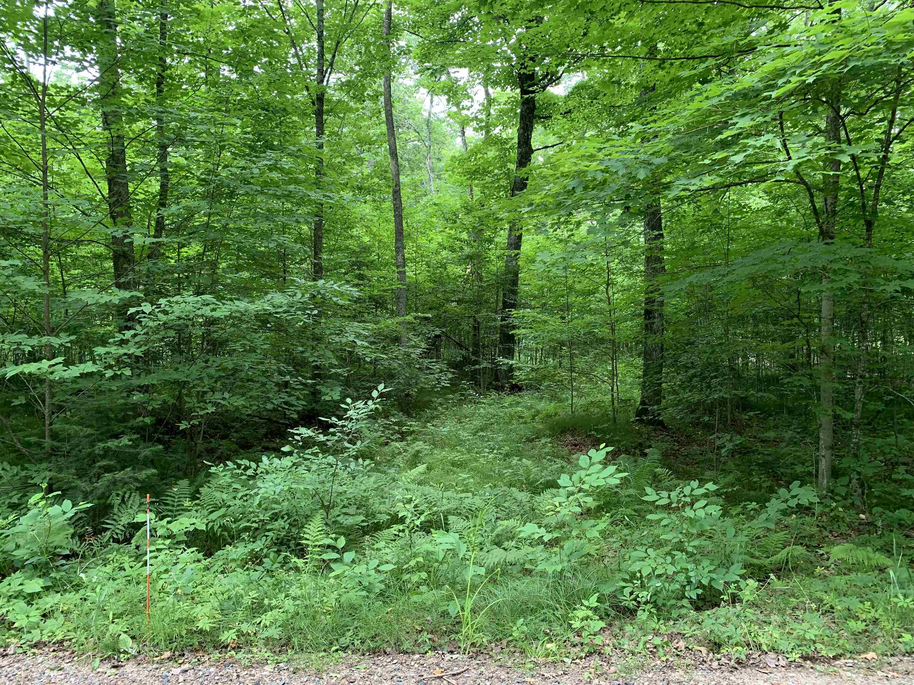 000 Summit Woods Lane Property Photo 13