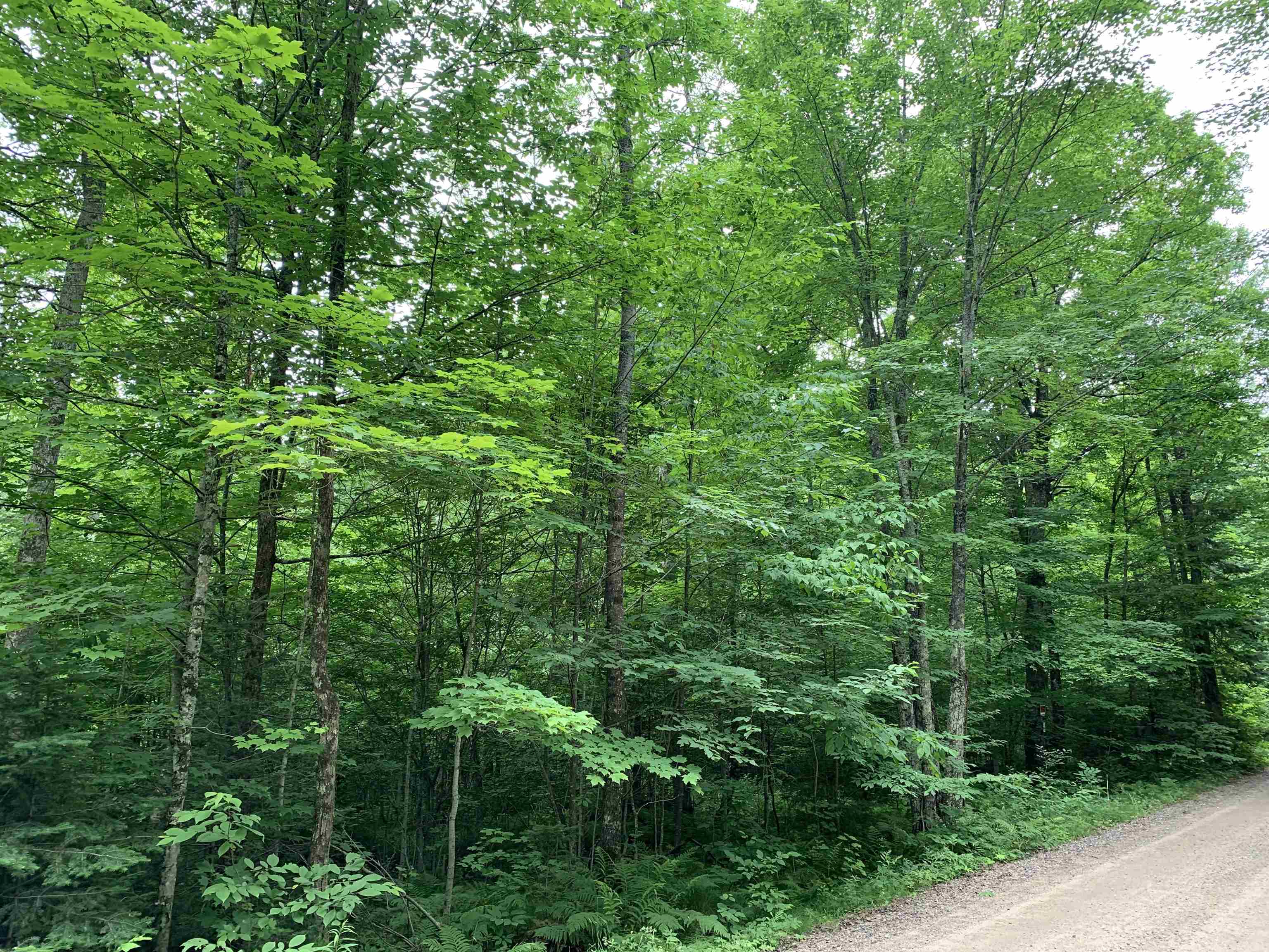 000 Summit Woods Lane Property Photo 15