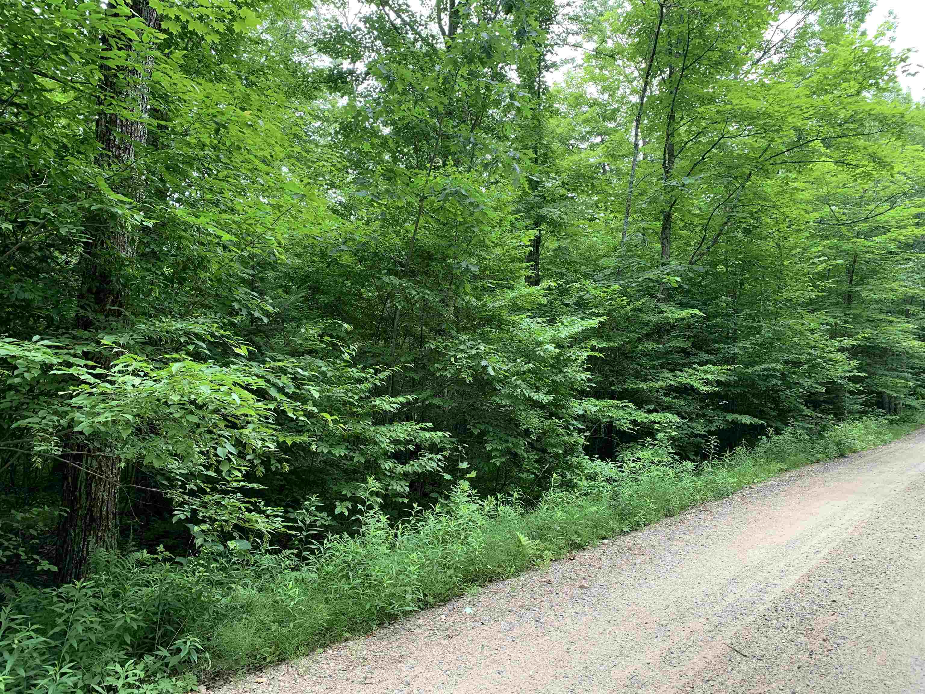 000 Summit Woods Lane Property Photo 16