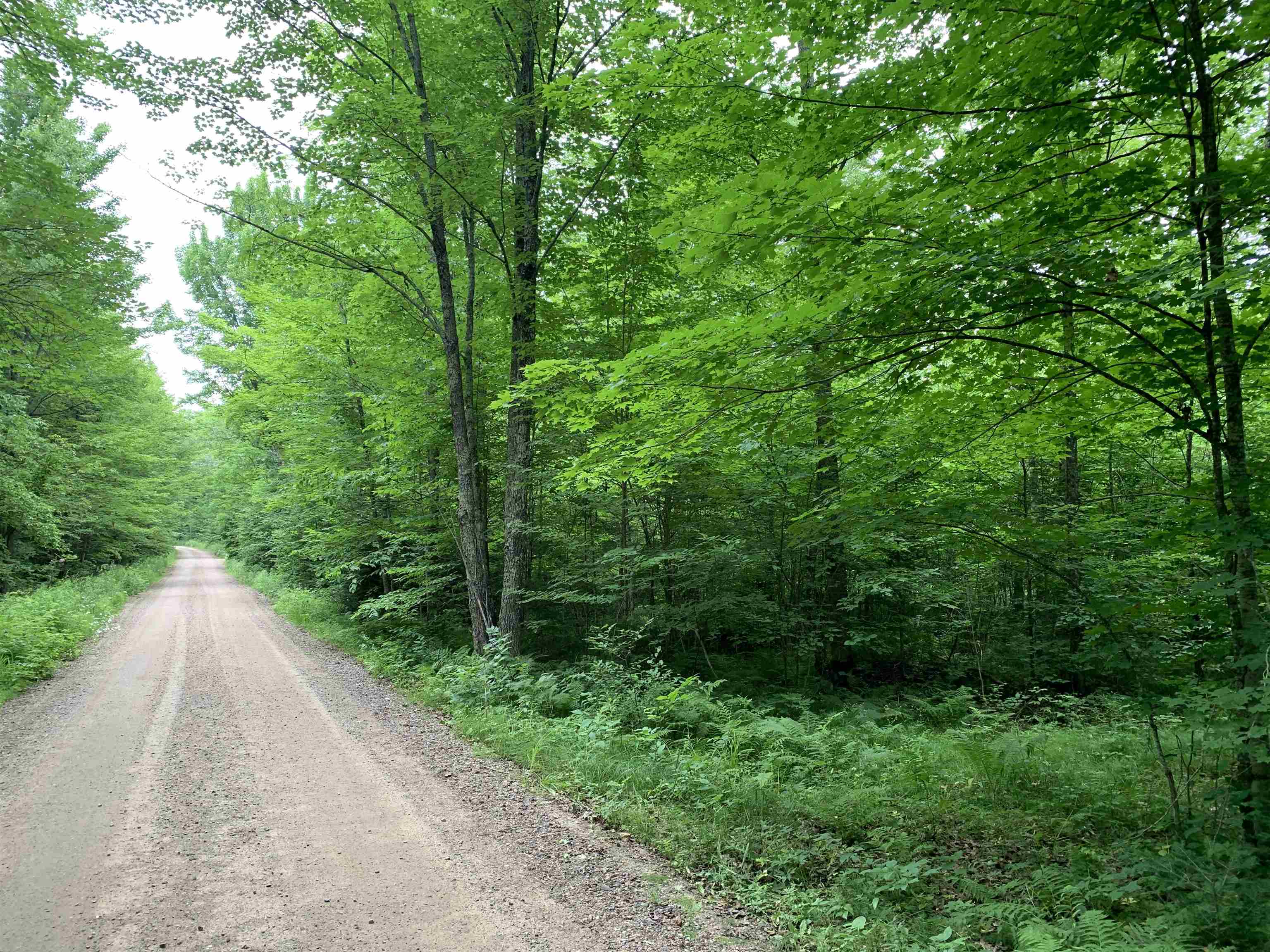 000 Summit Woods Lane Property Photo 17