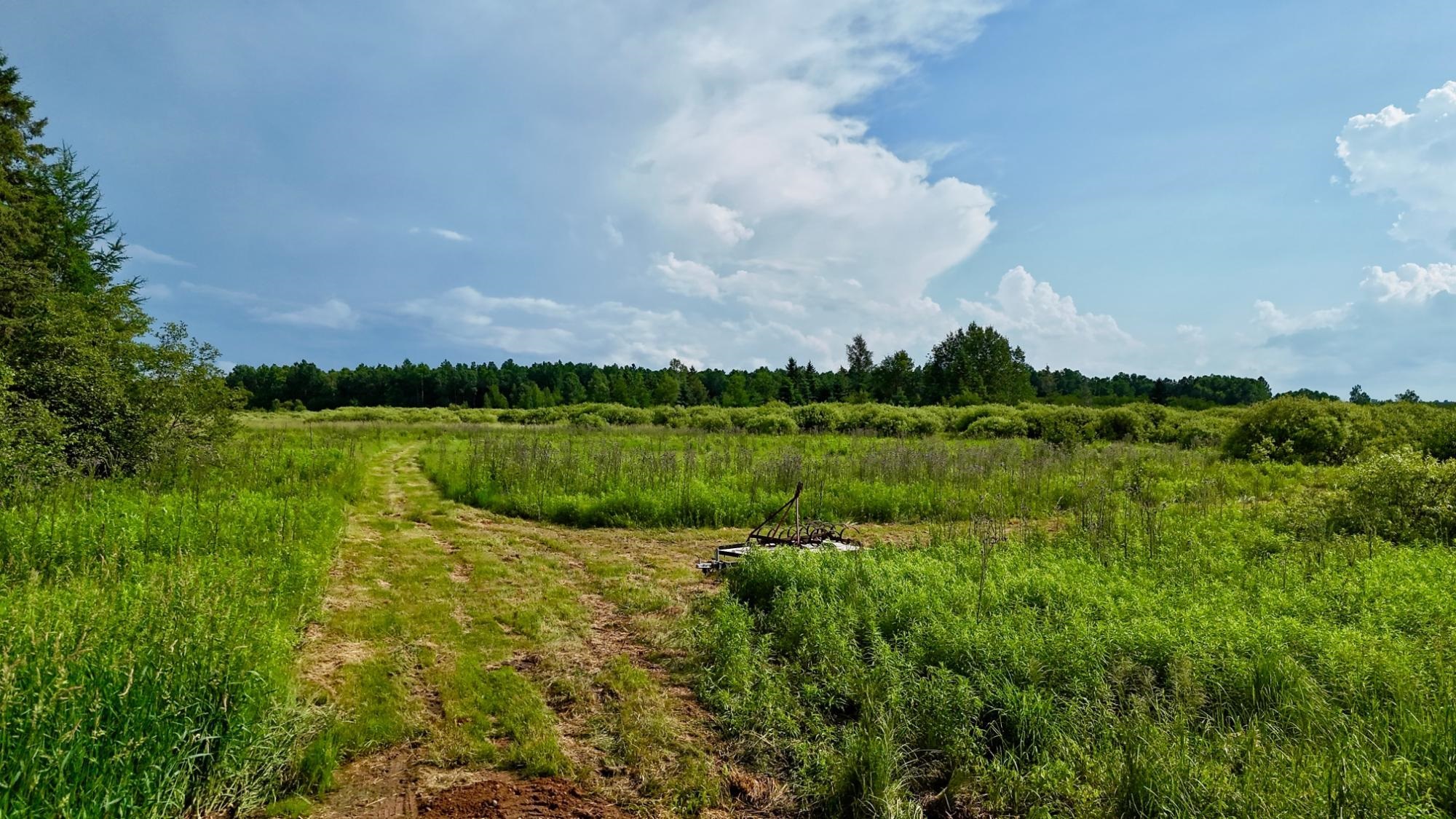 On Rangeline Road Property Photo 5