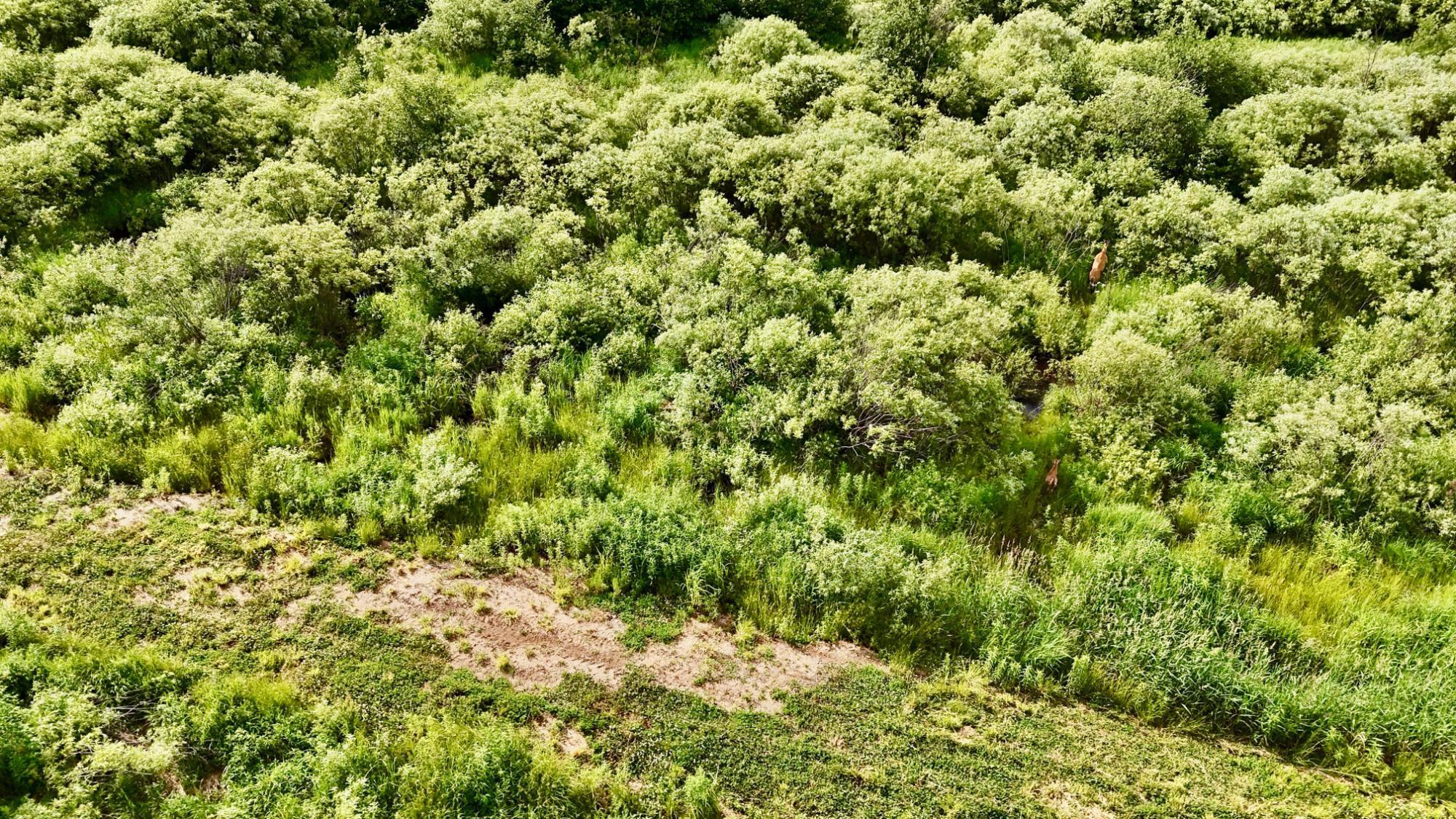 On Rangeline Road Property Photo 15