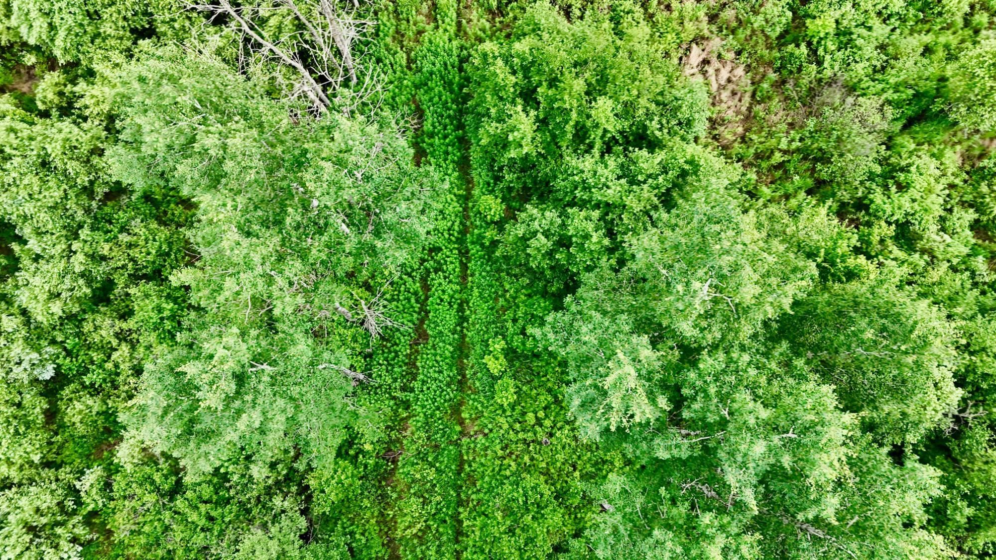 On Rangeline Road Property Photo 18