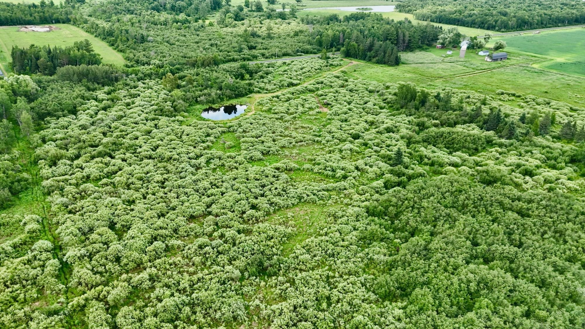 On Rangeline Road Property Photo 21