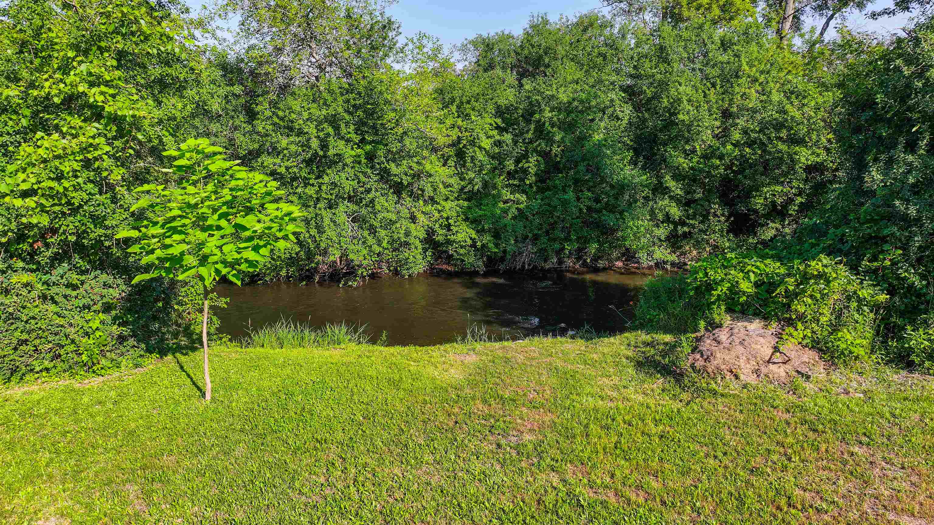 35504 Delmonte Drive Property Photo 9