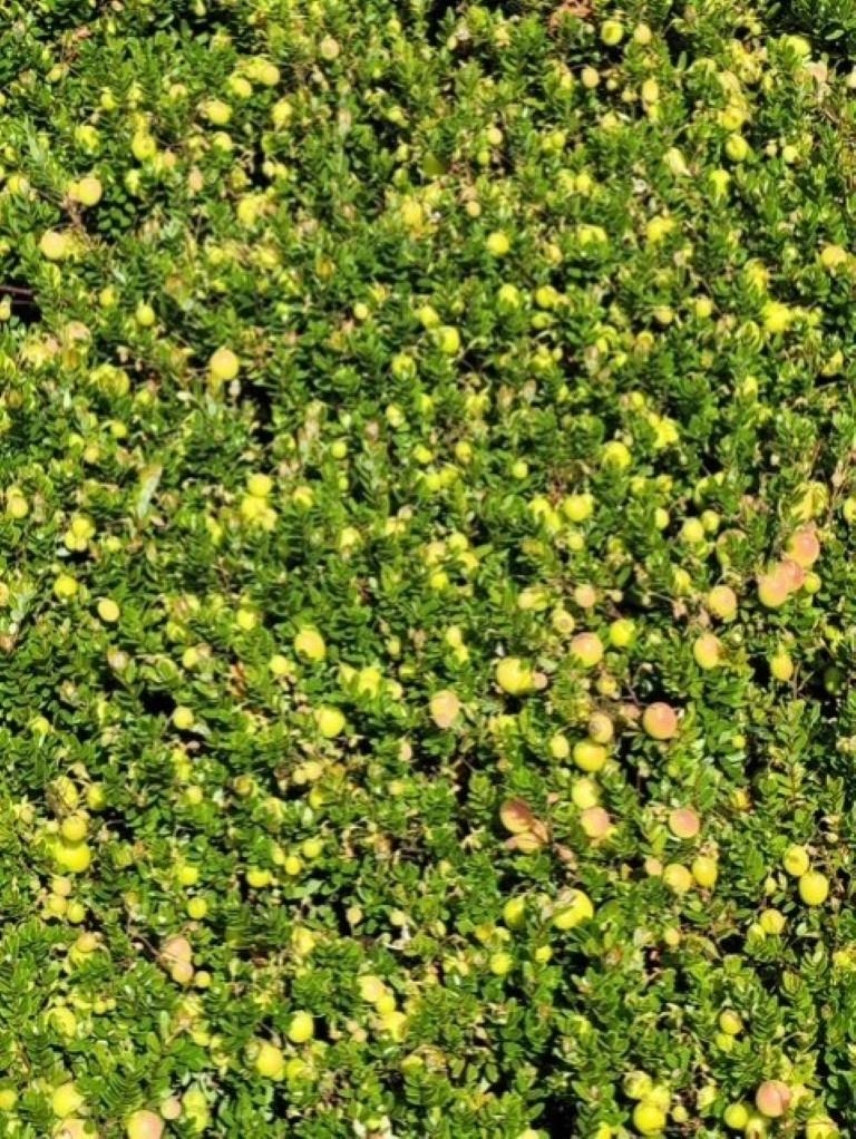 88 Mol County Road F Property Photo 4