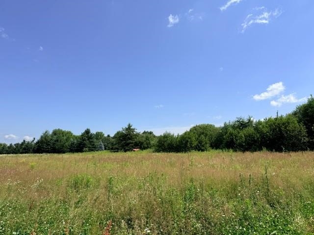 Lot 2 Tomato Road Property Photo 9