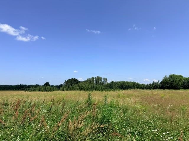 Lot 2 Tomato Road Property Photo 10