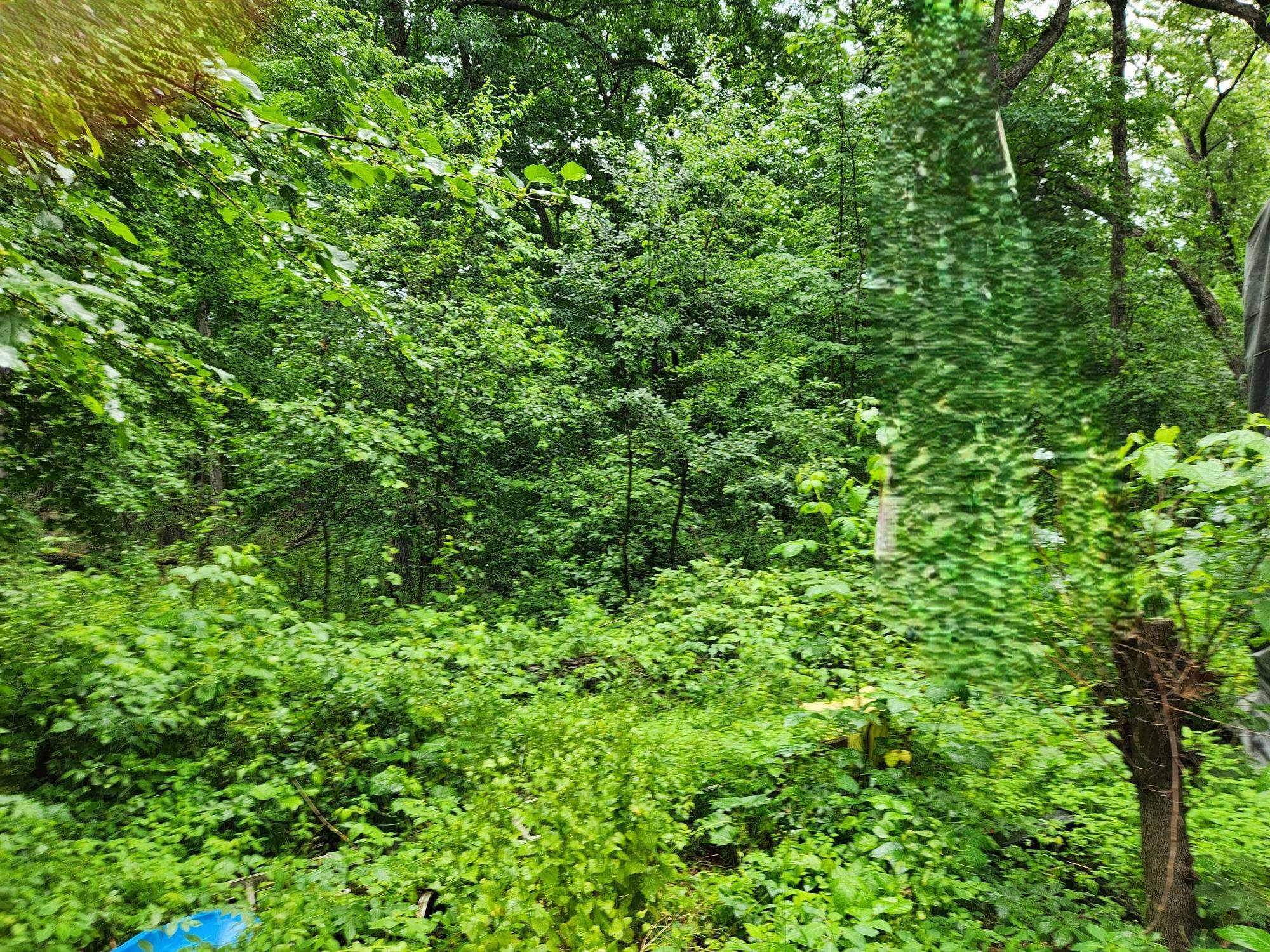 2984 5th Lane Property Photo 4