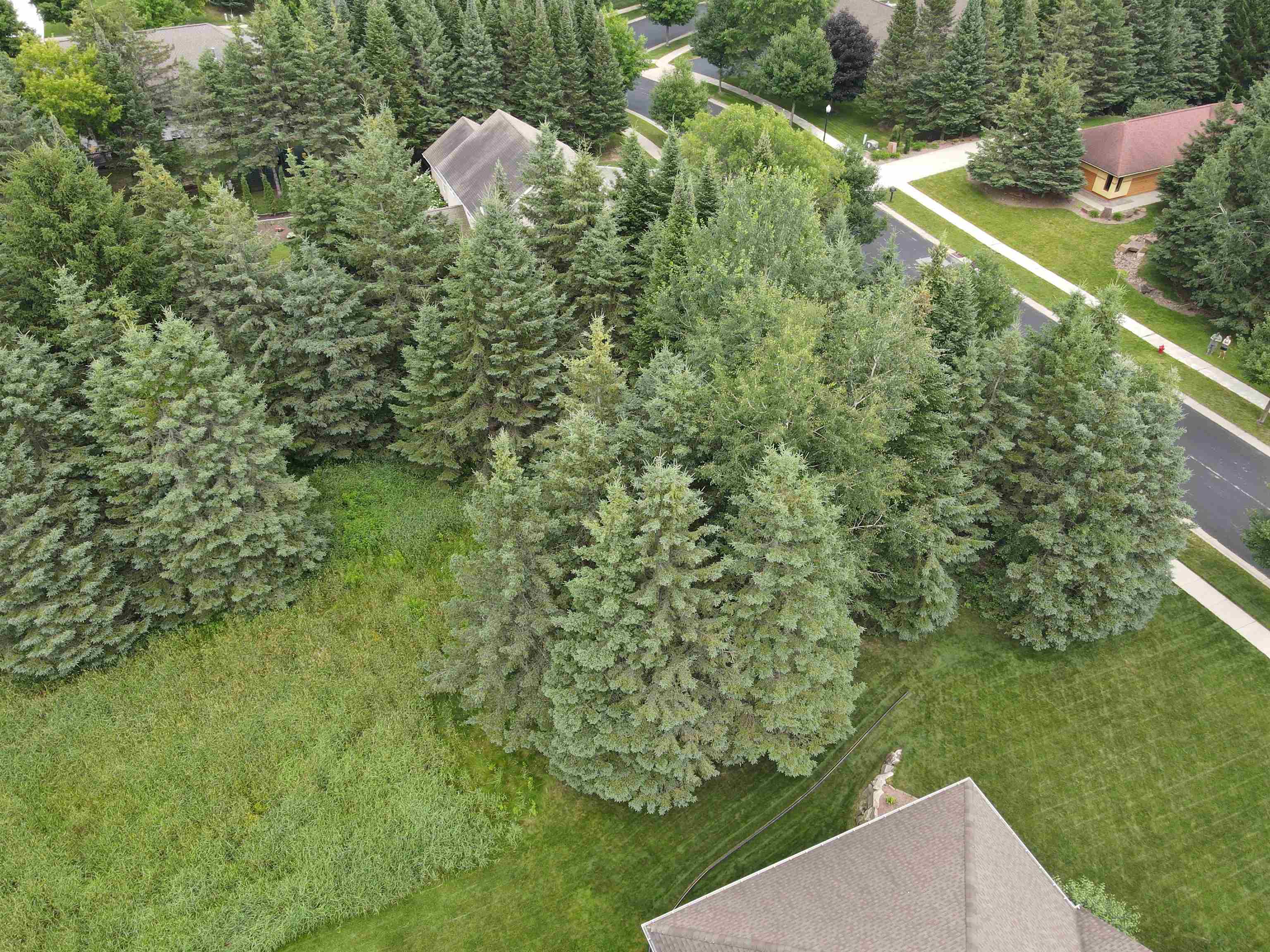 1904 Statesman Drive Property Photo 4