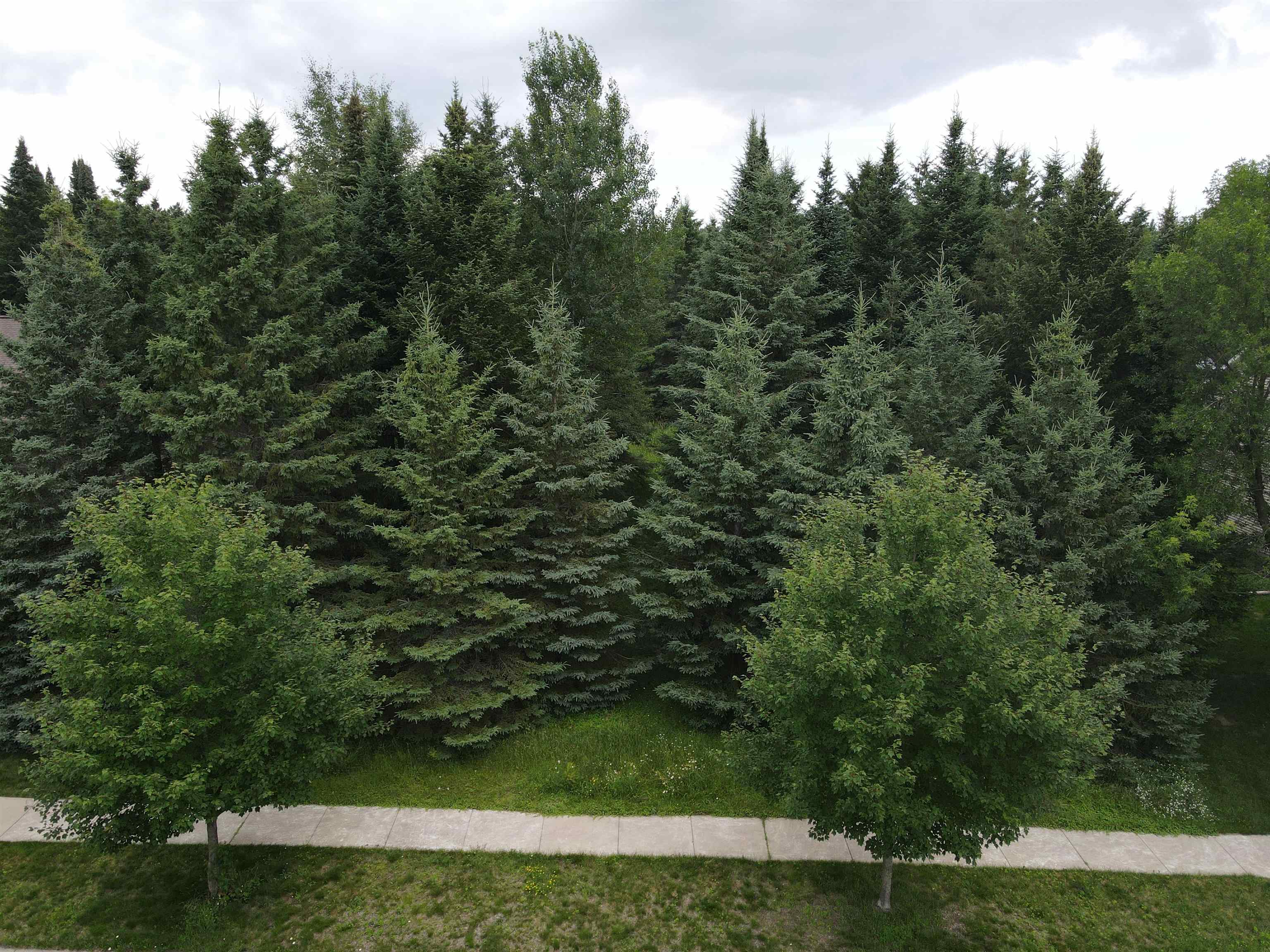 1904 Statesman Drive Property Photo 6