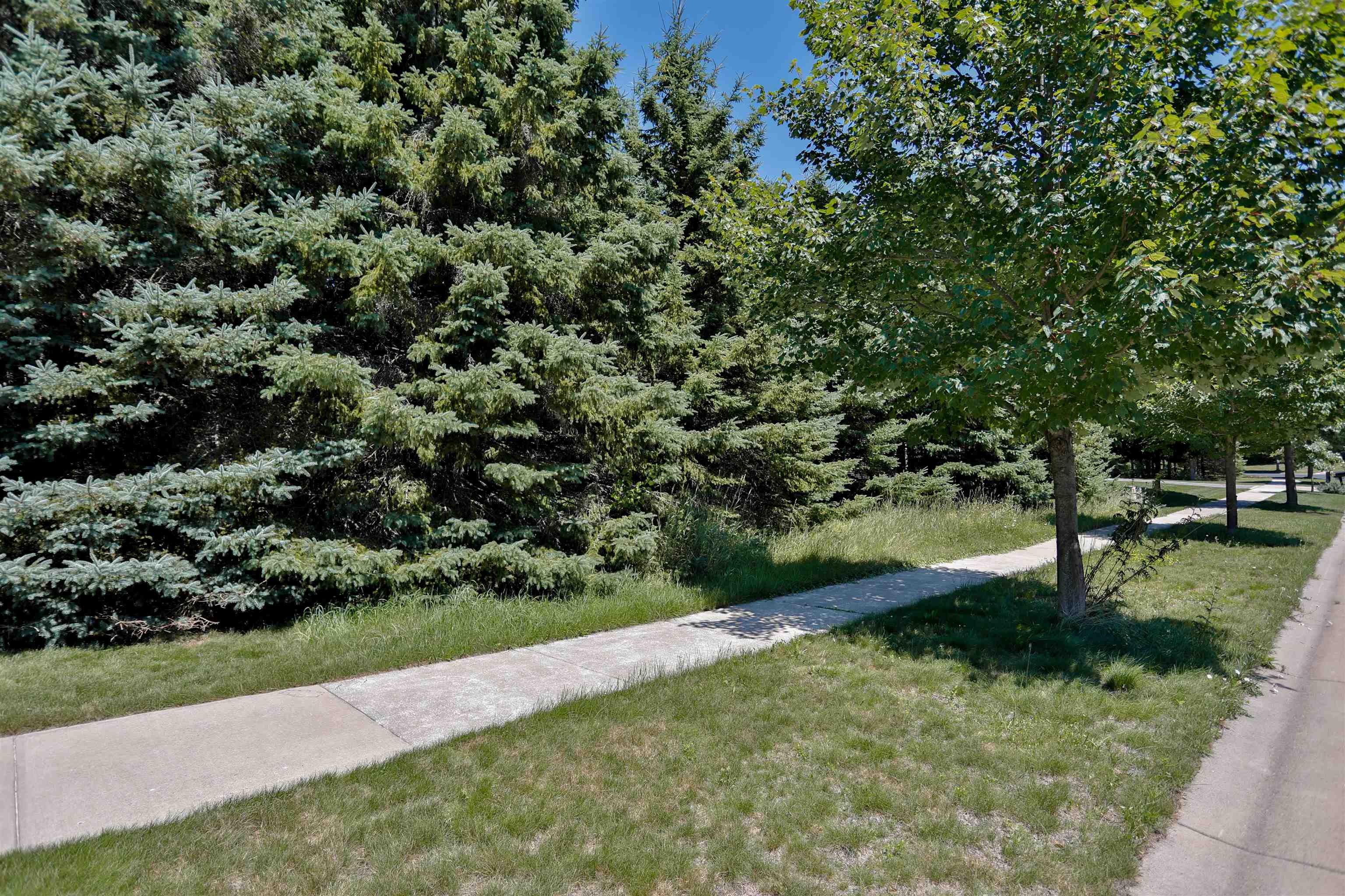 1904 Statesman Drive Property Photo 12