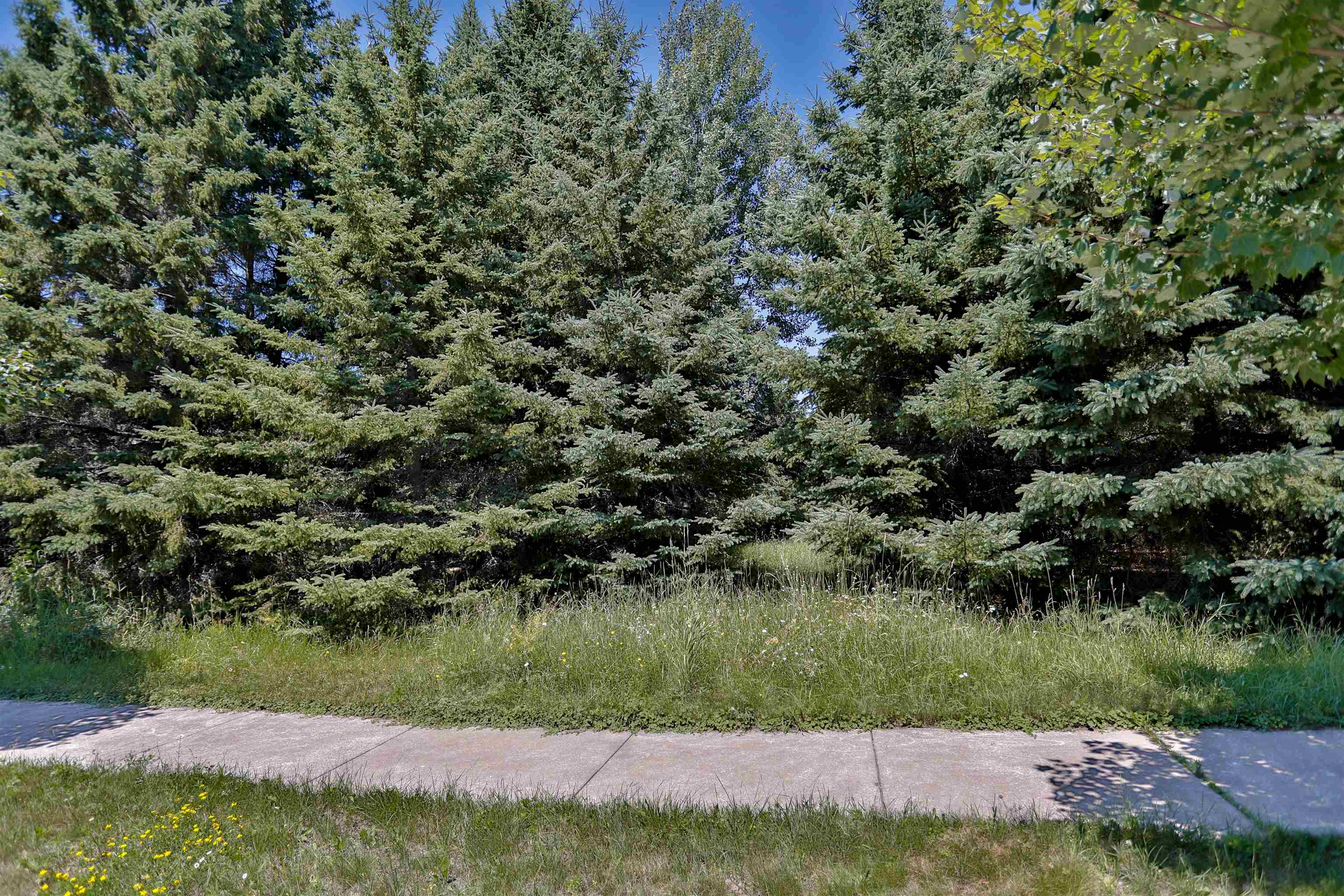 1904 Statesman Drive Property Photo 14
