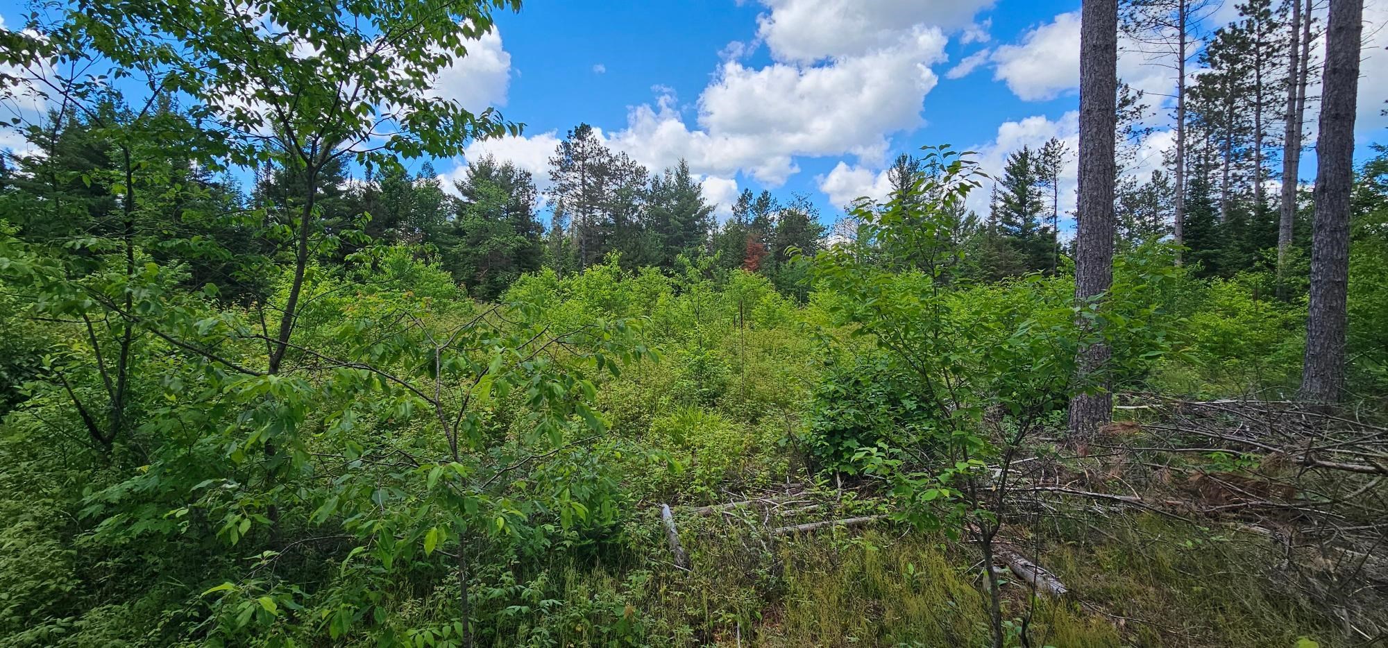 Lot 4 Baade Road Property Photo 9