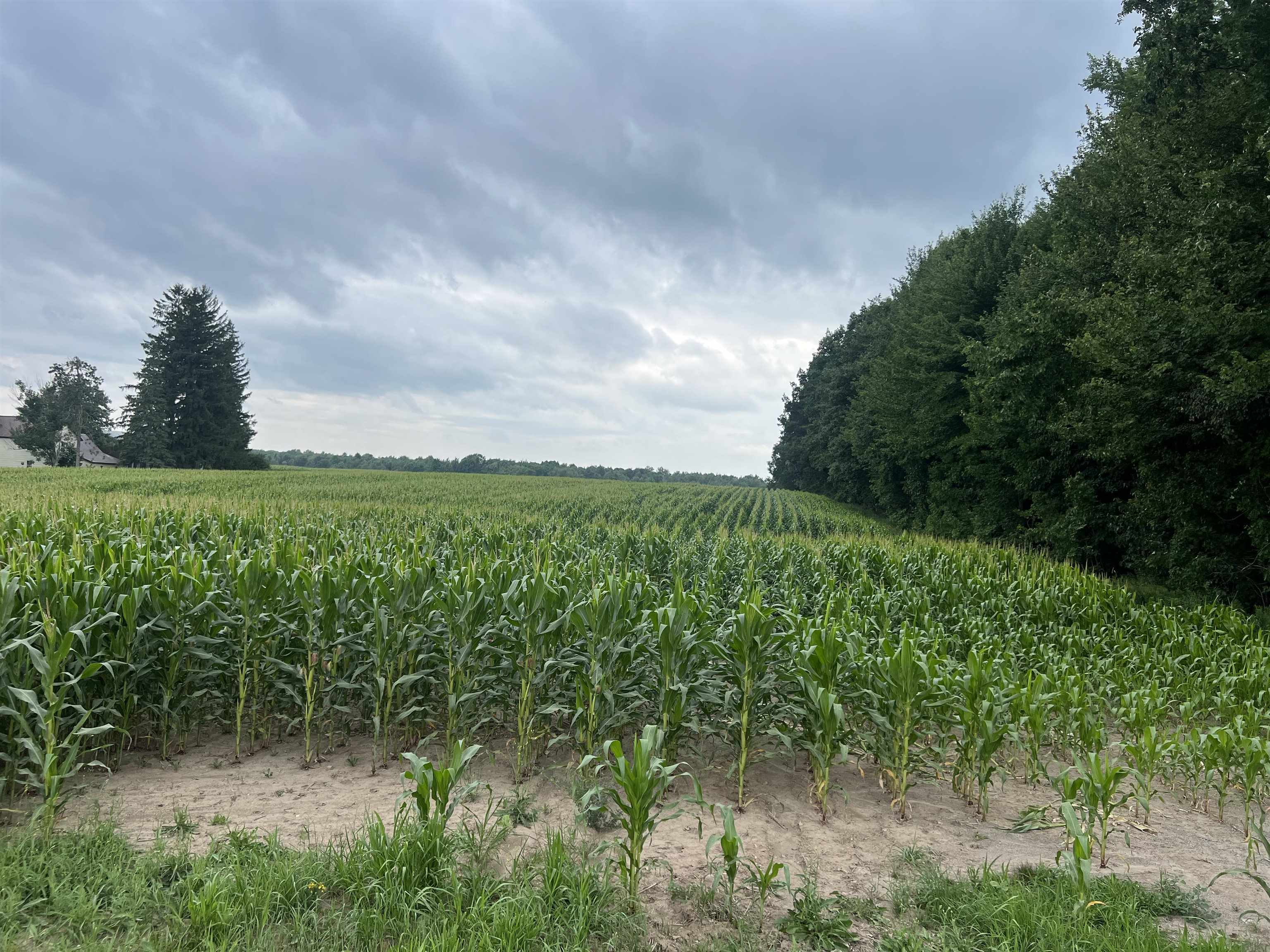 15 Acres Deer Creek Lane Property Photo 1