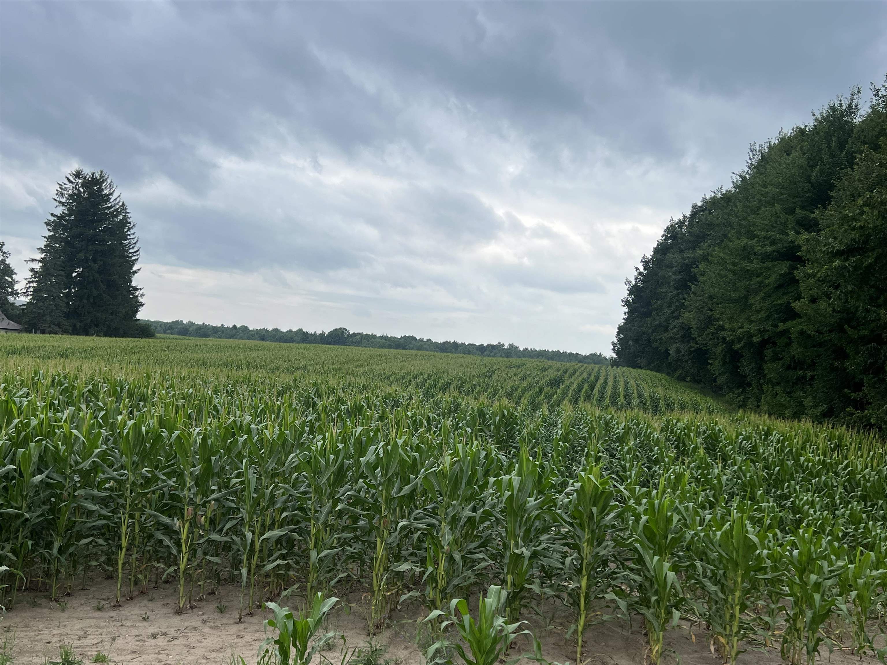 15 Acres Deer Creek Lane Property Photo 2