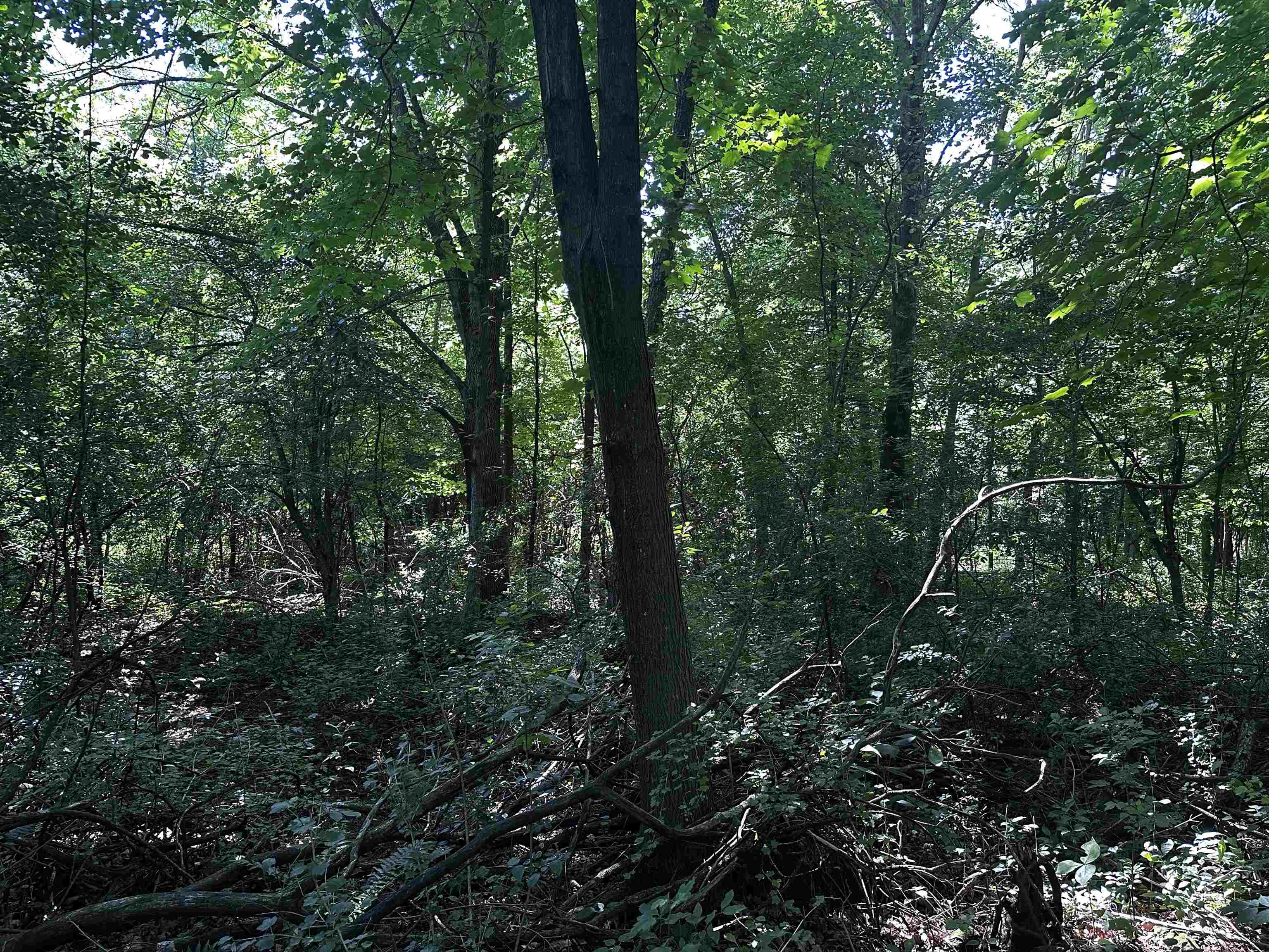 03 Acorn Drive Property Photo 3
