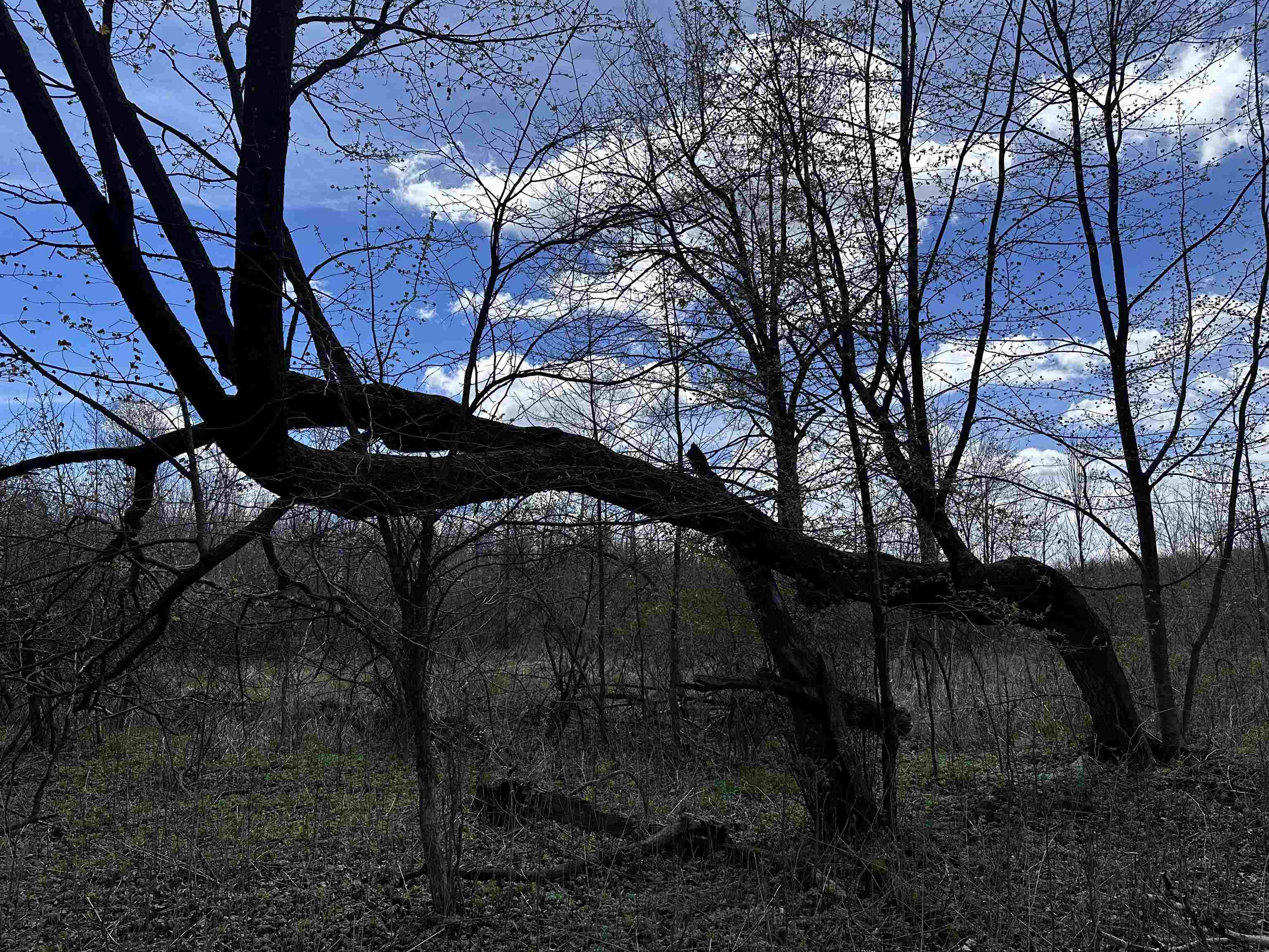 02 Hickory Road Property Photo 6