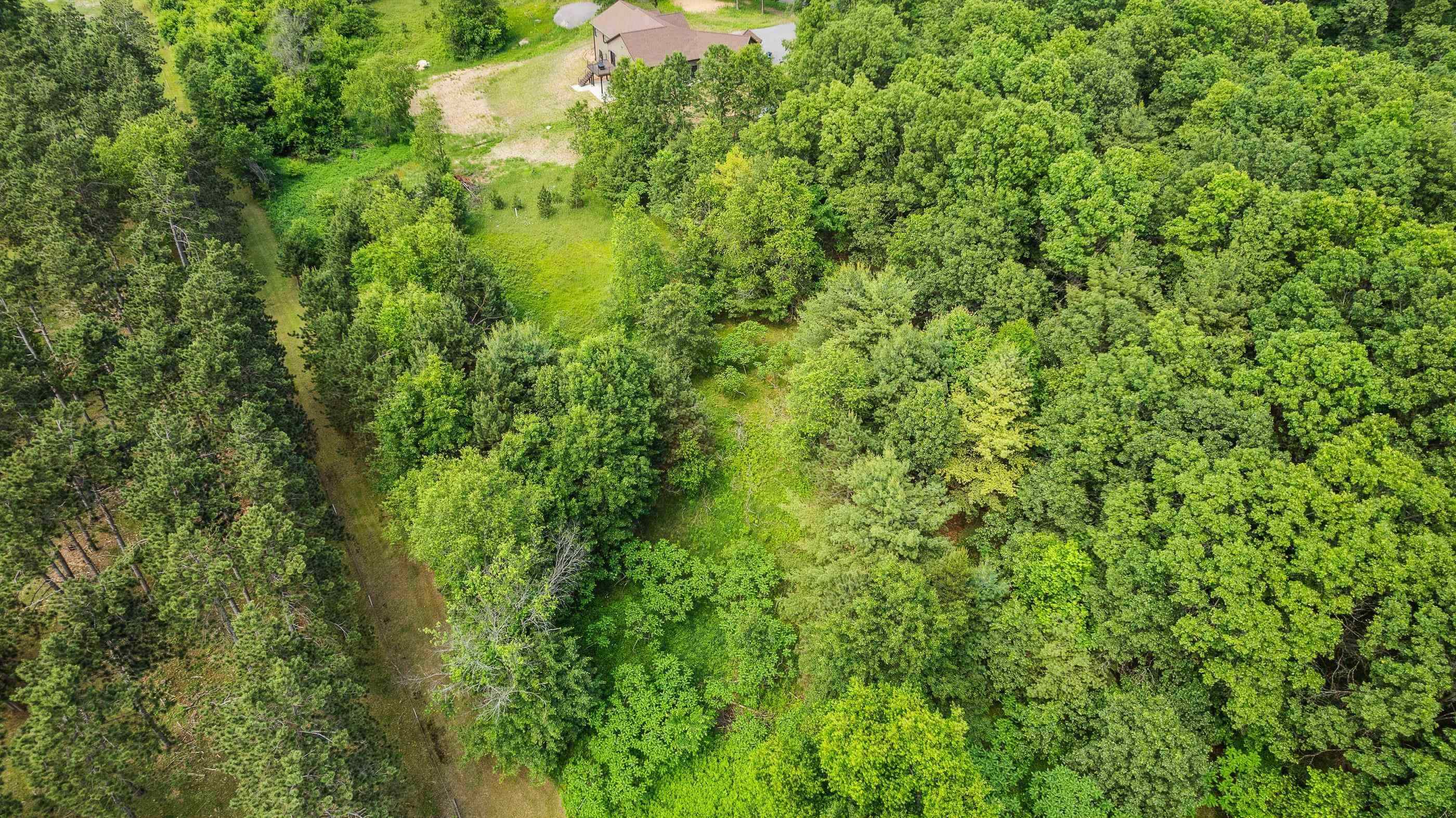 4650 Turkey Trail Property Photo 9